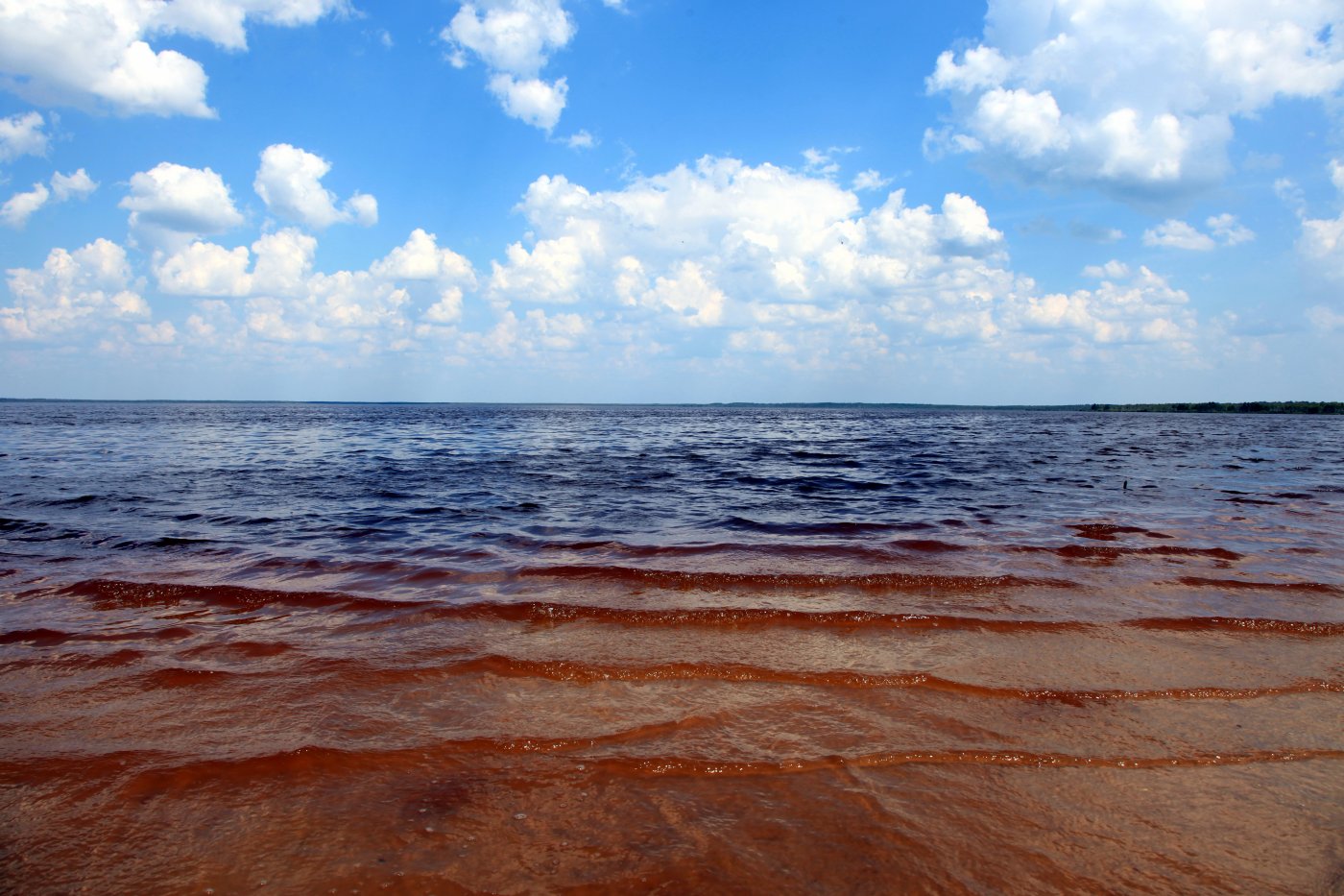 Выгоновское озеро Беларусь