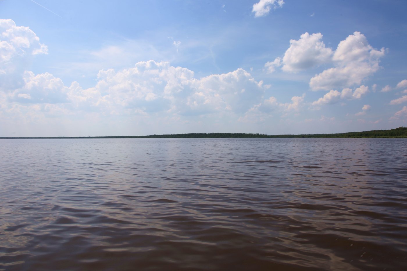 Выгоновское озеро Беларусь