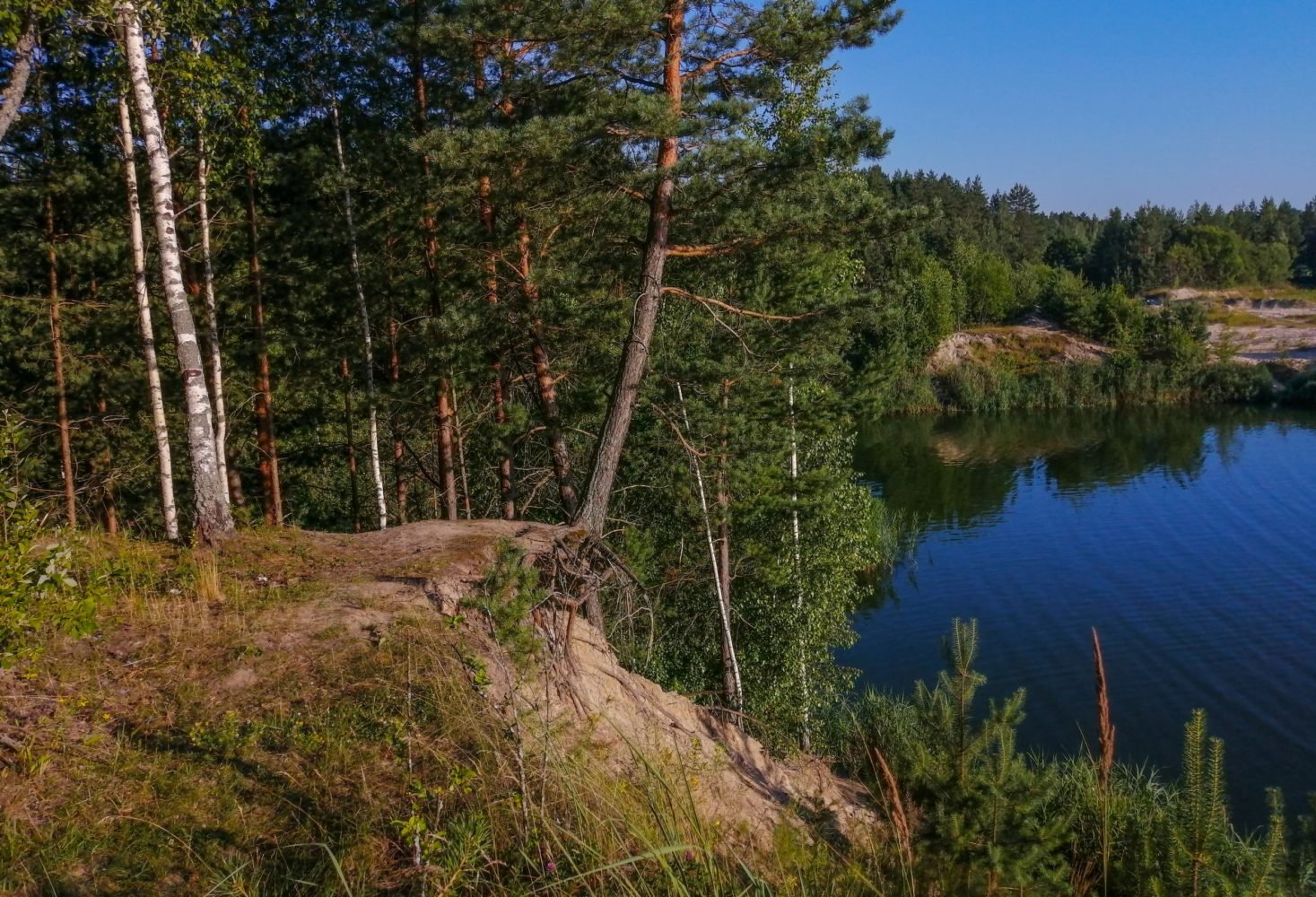 Петровское озеро Ленинградская область