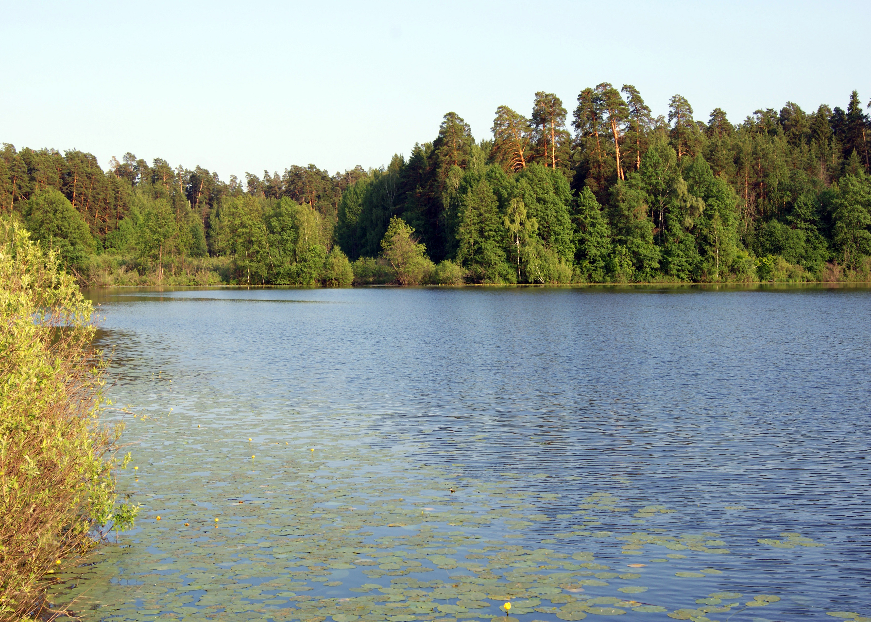 Раифское озеро Татарстан