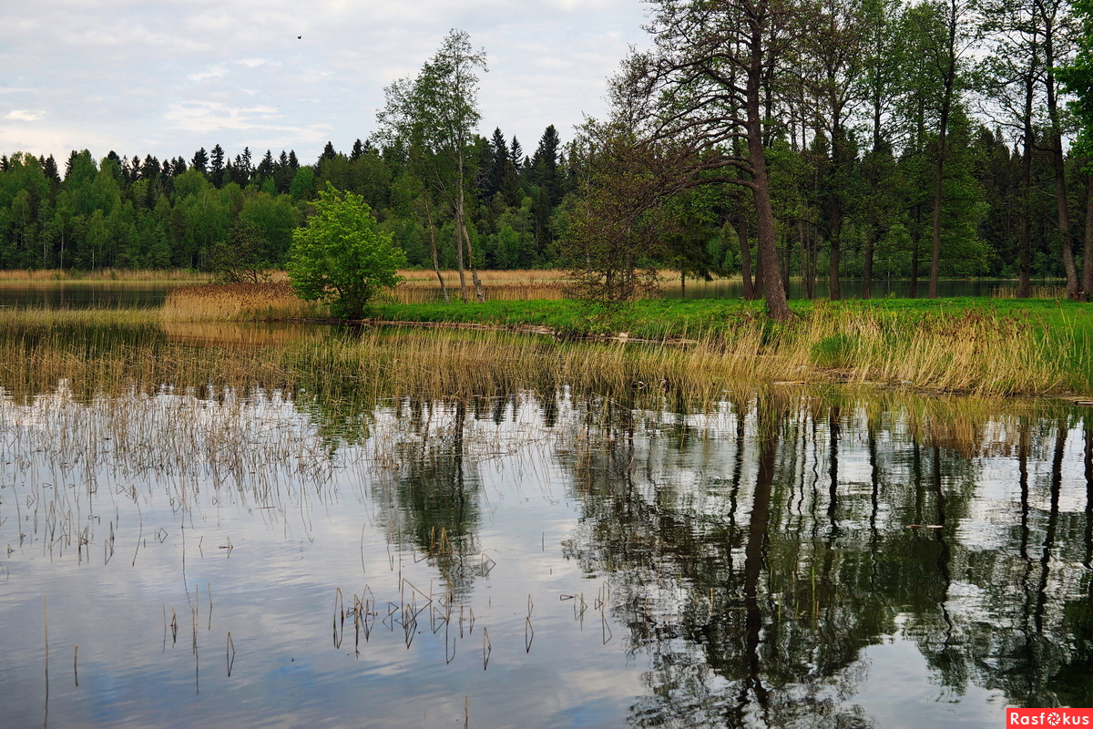 Погода сухое озеро. Озеро Валдай. Озеро Велье Валдай. Озеро сухое Боровичи. Озеро сухое Новгородская область.