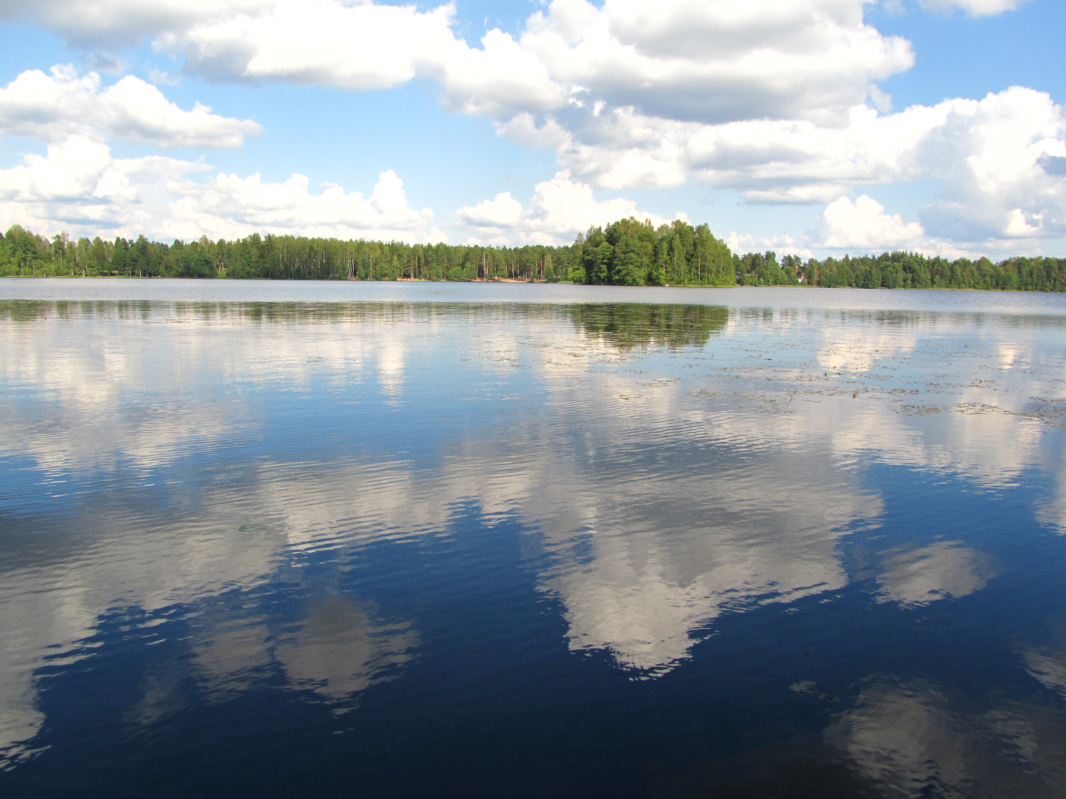 Озеро большое Кирилловское Выборгский район