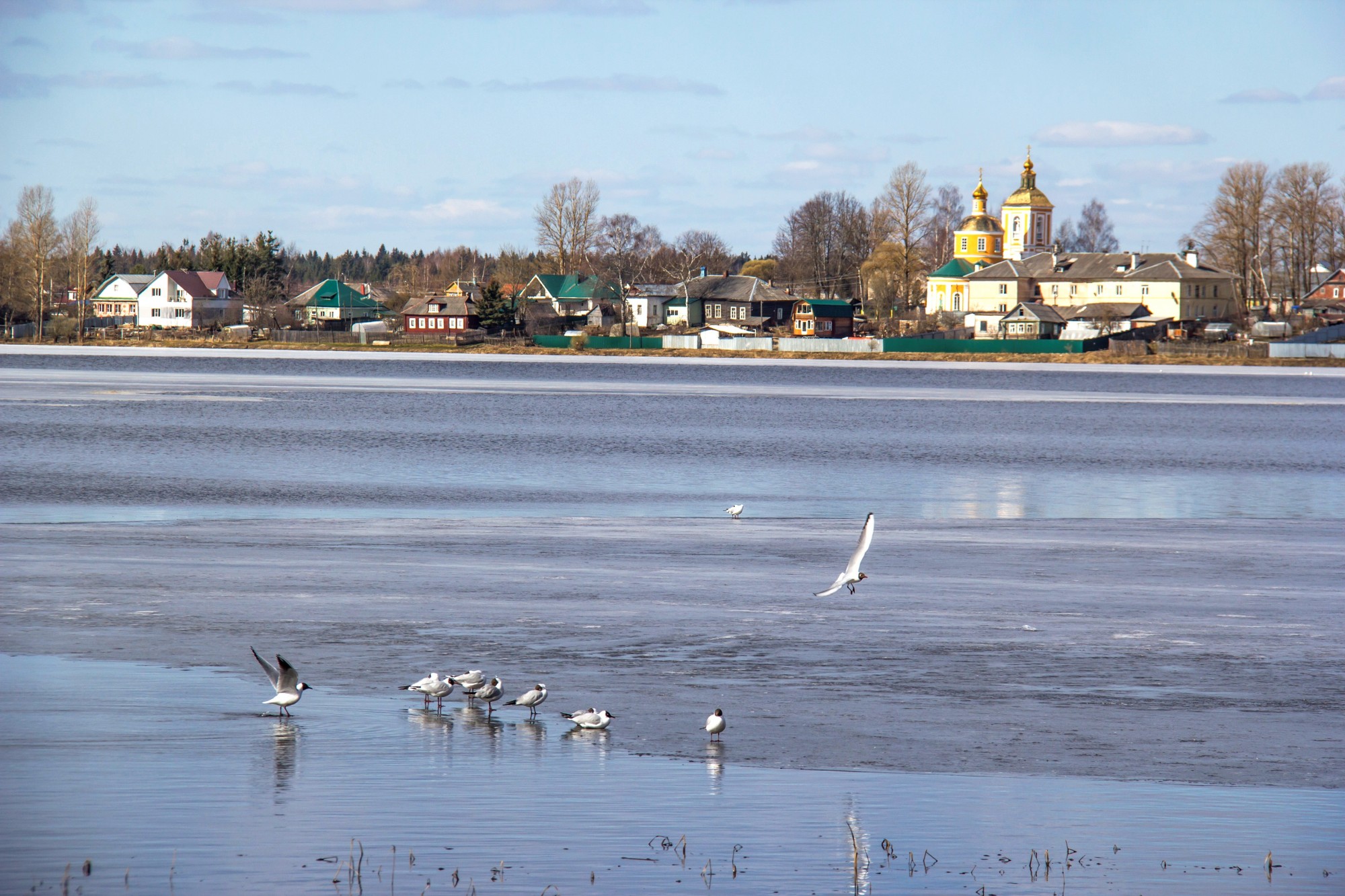 Озеро Бологое Тверской области