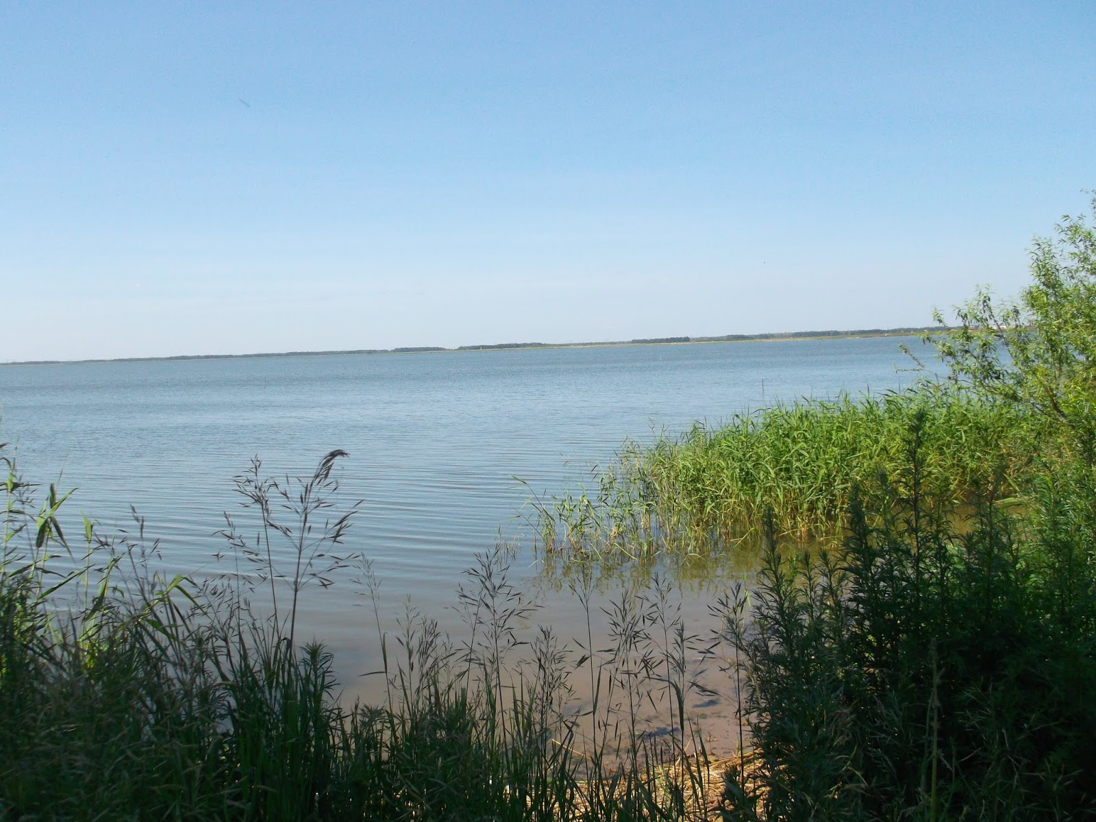 Озеро Песьяное Алтайский