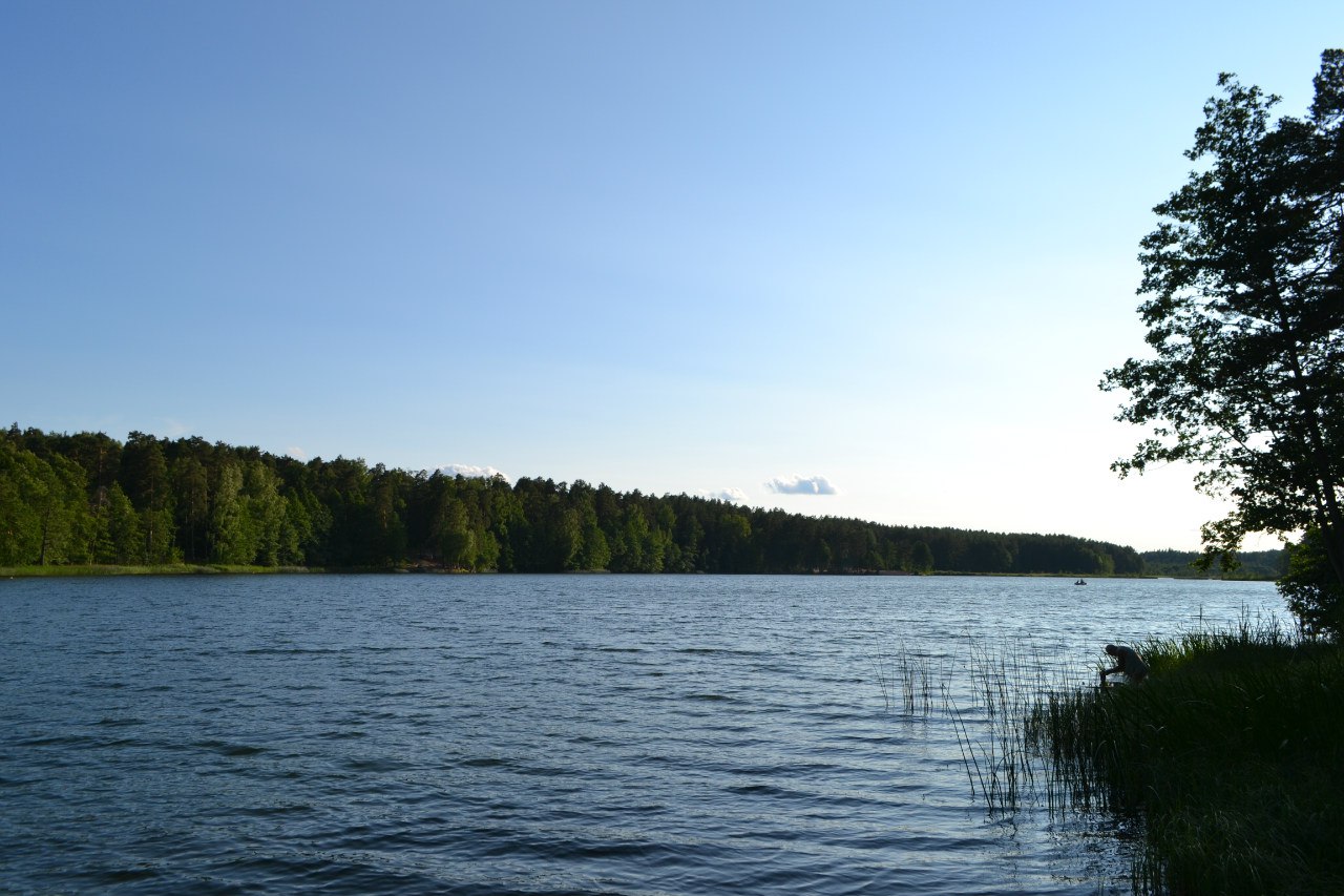 Озеро врево лужский район