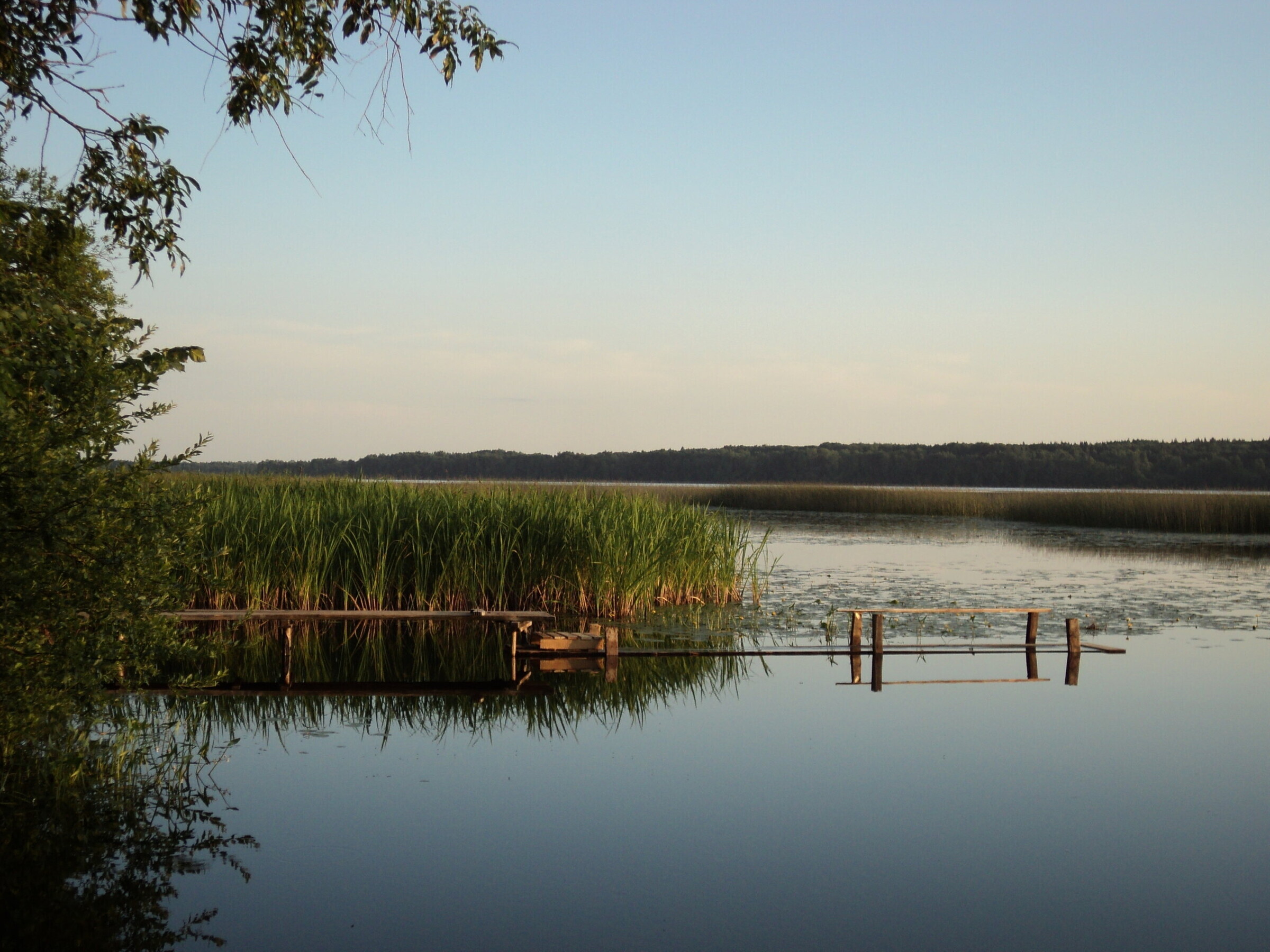 Озеро Раковическое Лужский район рыбалка