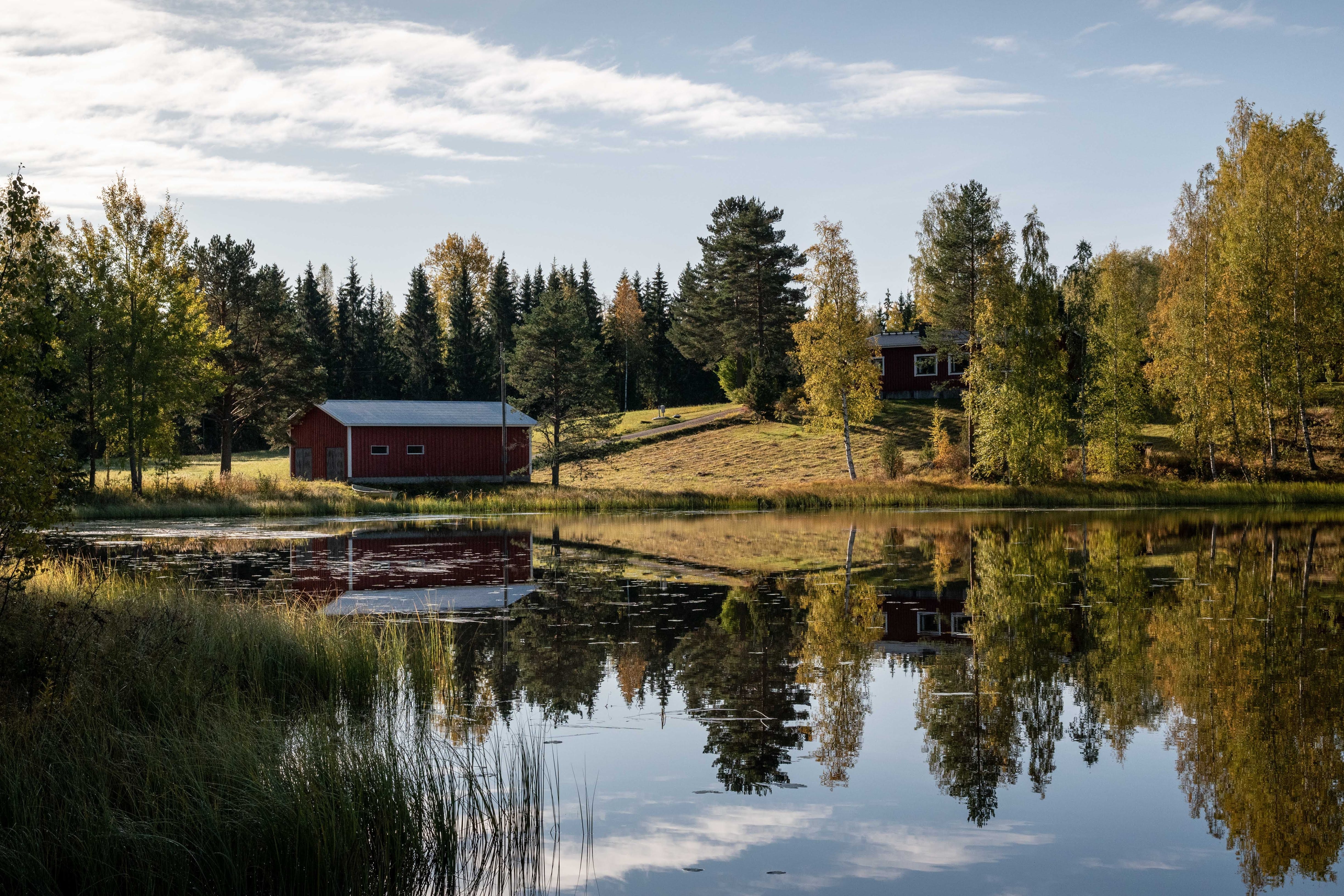 Озеро в лапландии 5. Садринское озеро. Лесное озеро. Лапландия Финляндия. Финская мечта.
