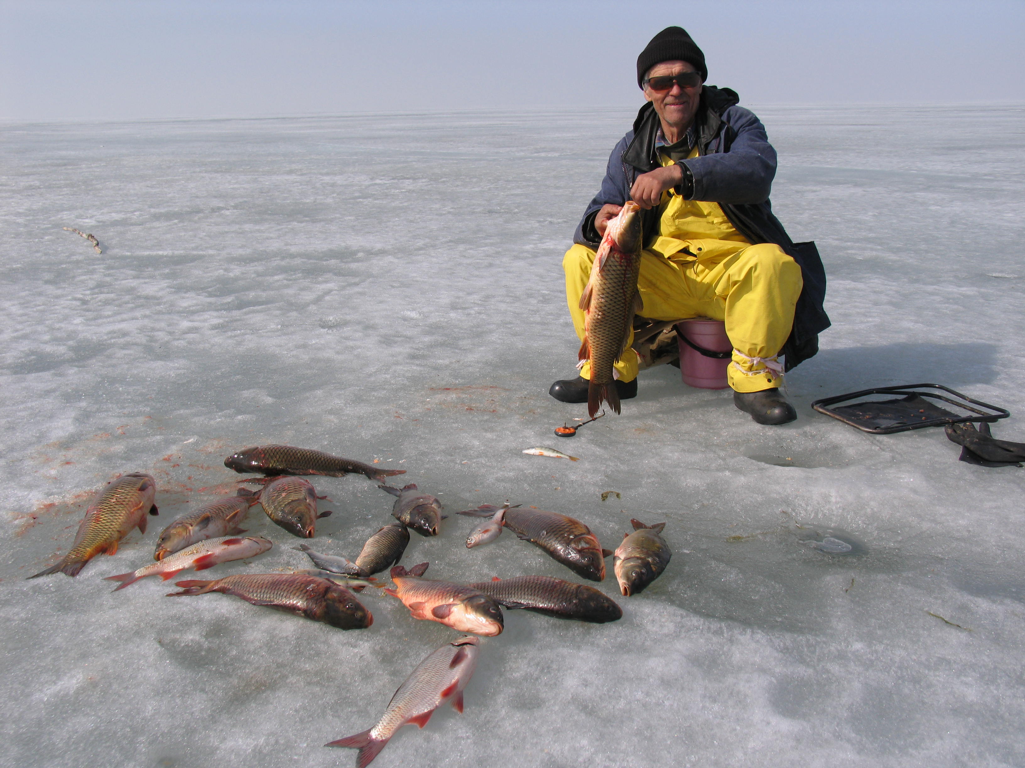Сартлан озеро Новосибирская