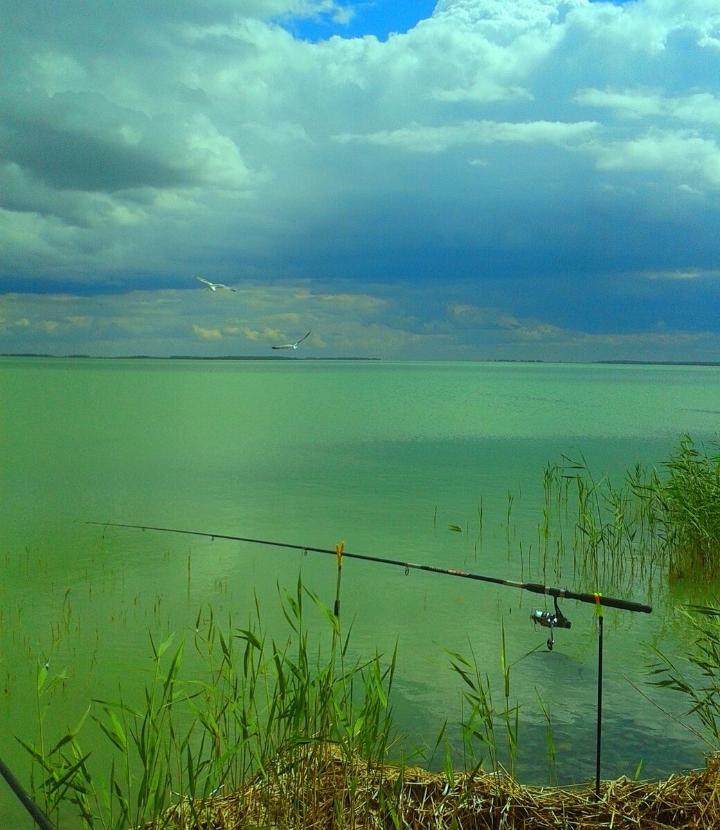 Озеро чаны новосибирская область