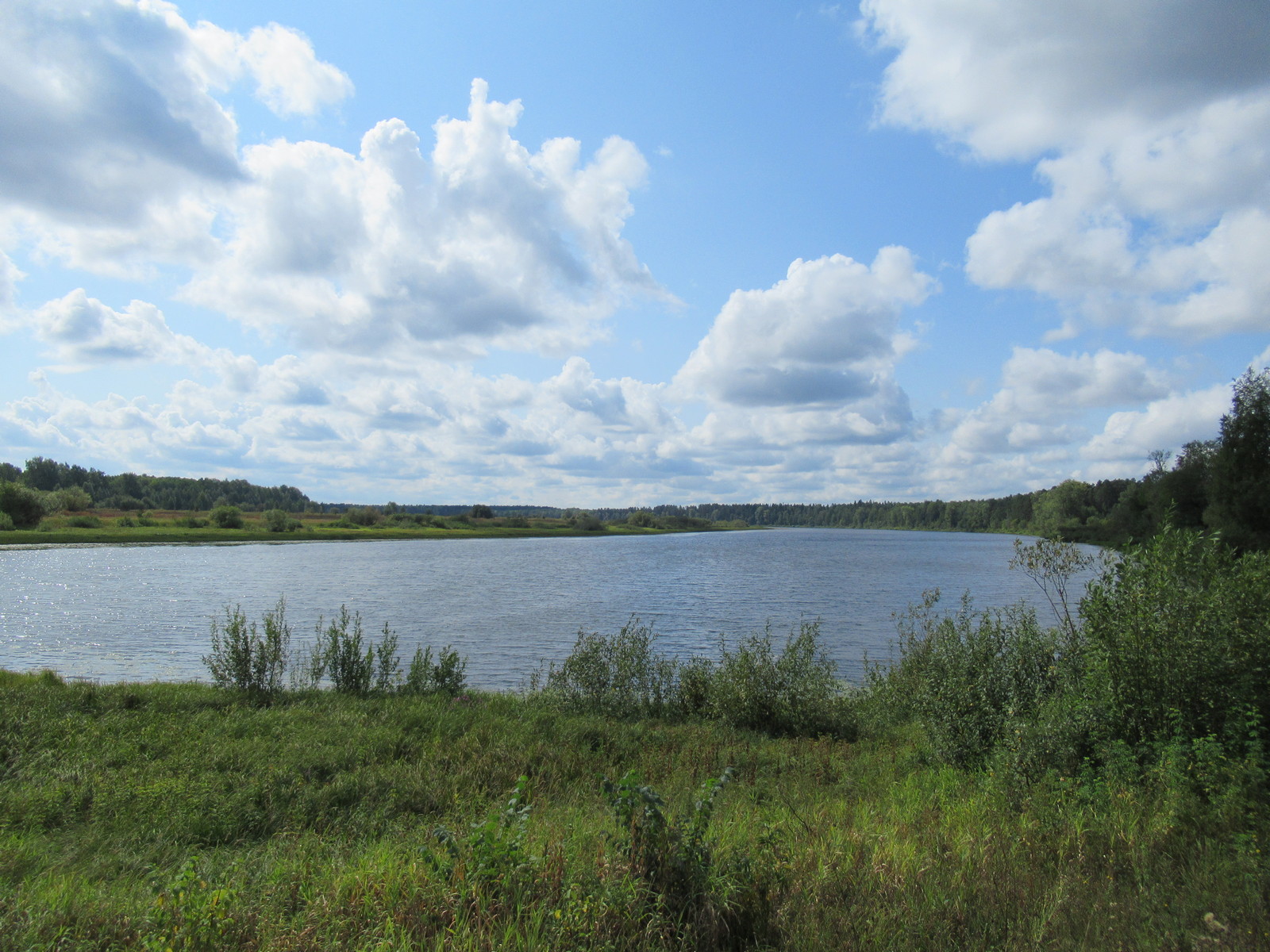 Озеро Старица Новосибирск