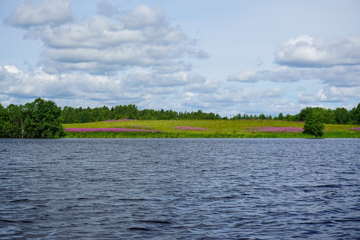 База берег на Ковжском озере Вологодская область