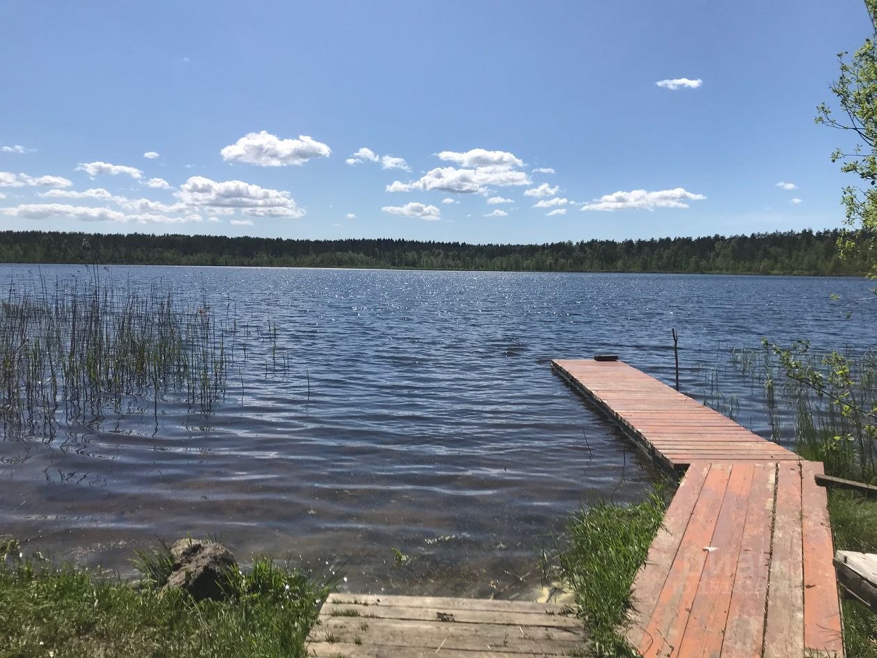 Мичуринское озеро Ленинградская область