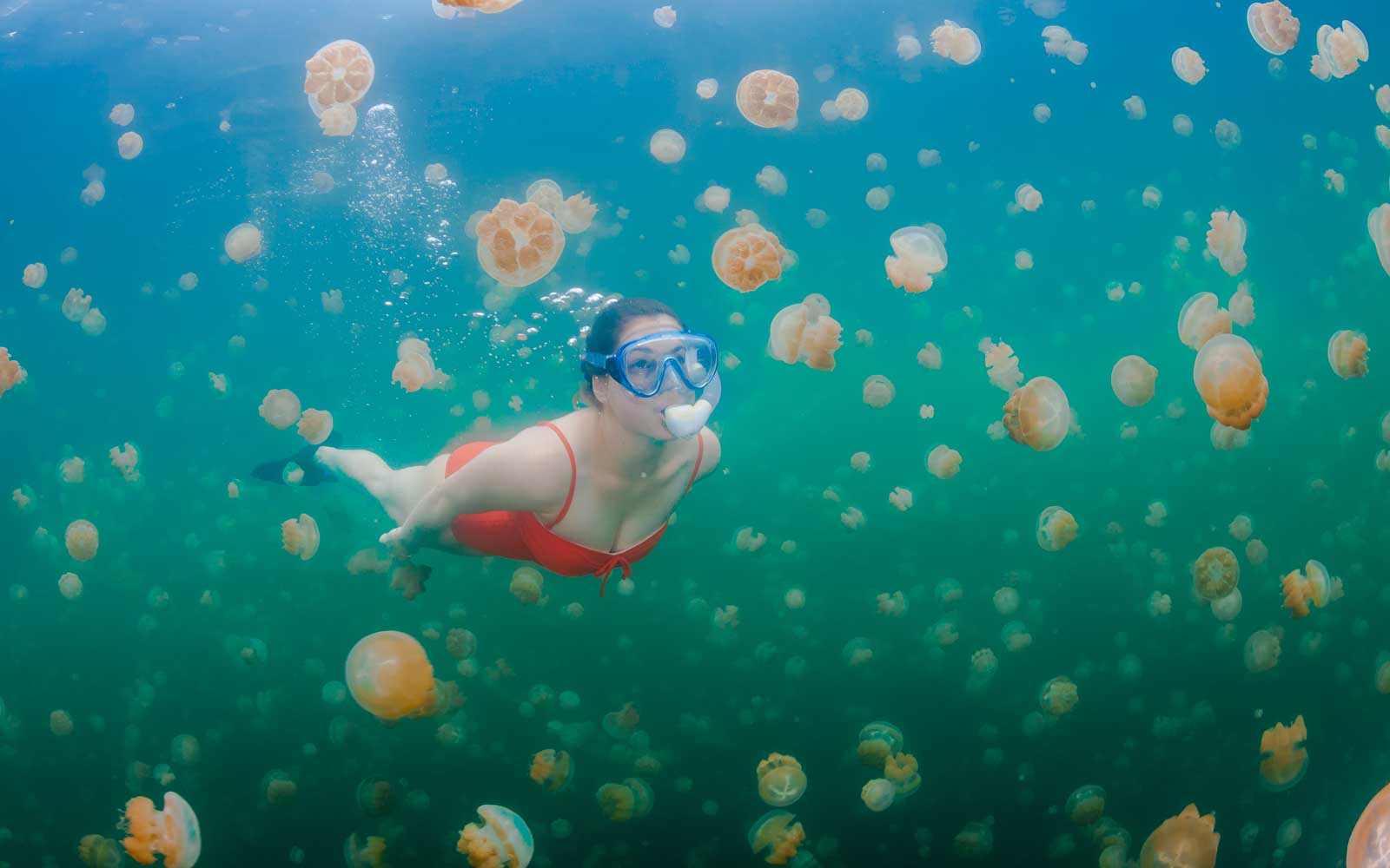 Озеро медуз Палау дайвинг