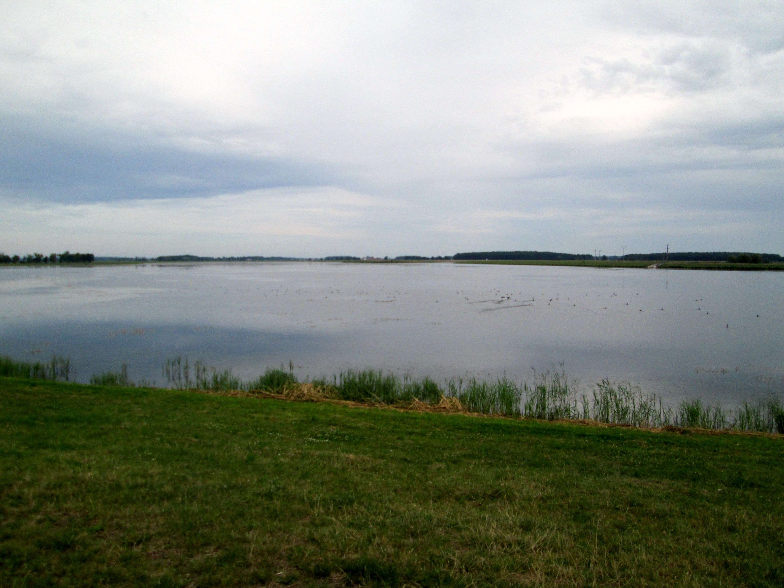 Озеро уелги