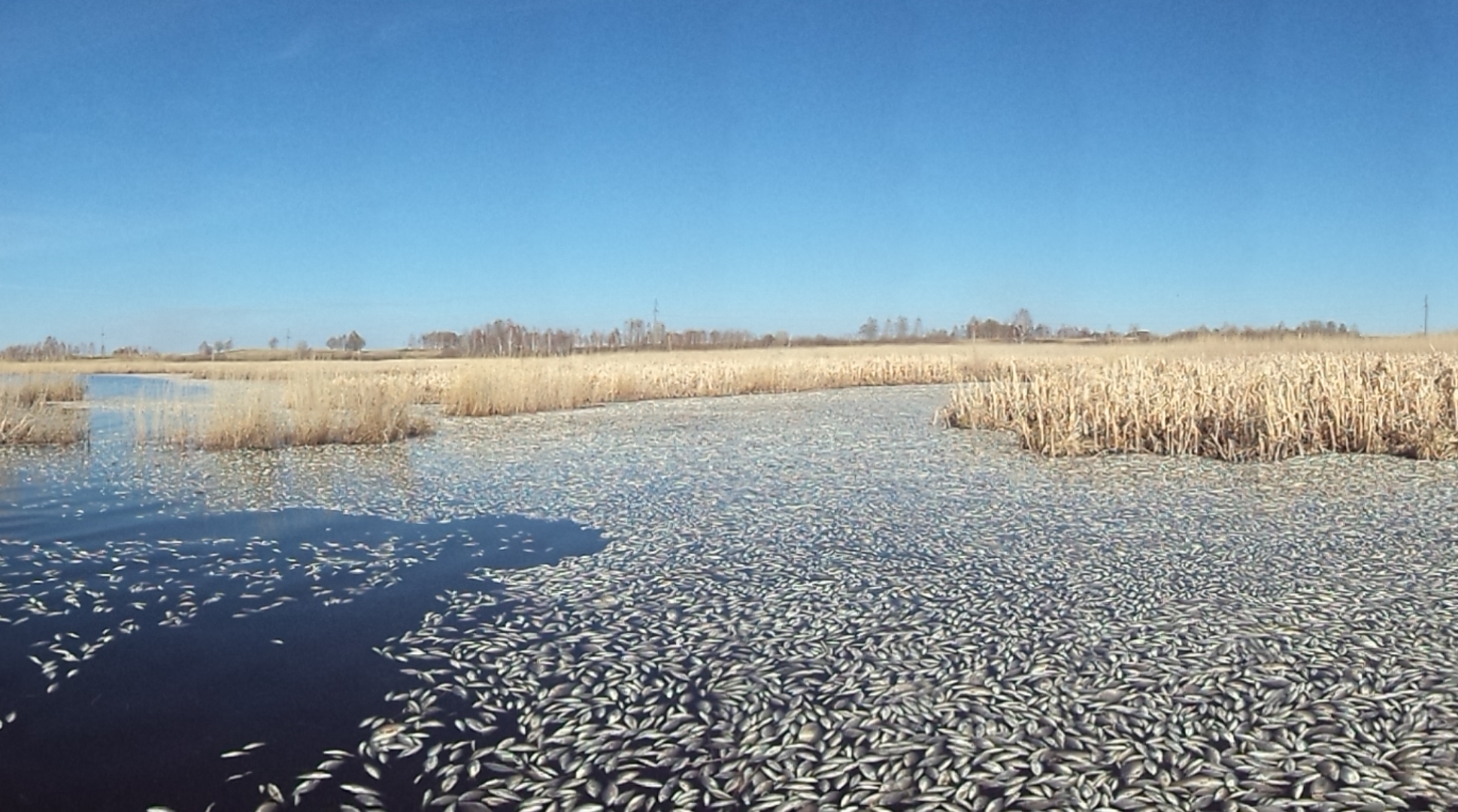 Озеро маян рыбалка. Озеро Уелги. Озеро Кунашак Челябинская. Озеро Кунашак рыба. Уелги озеро в Челябинской.