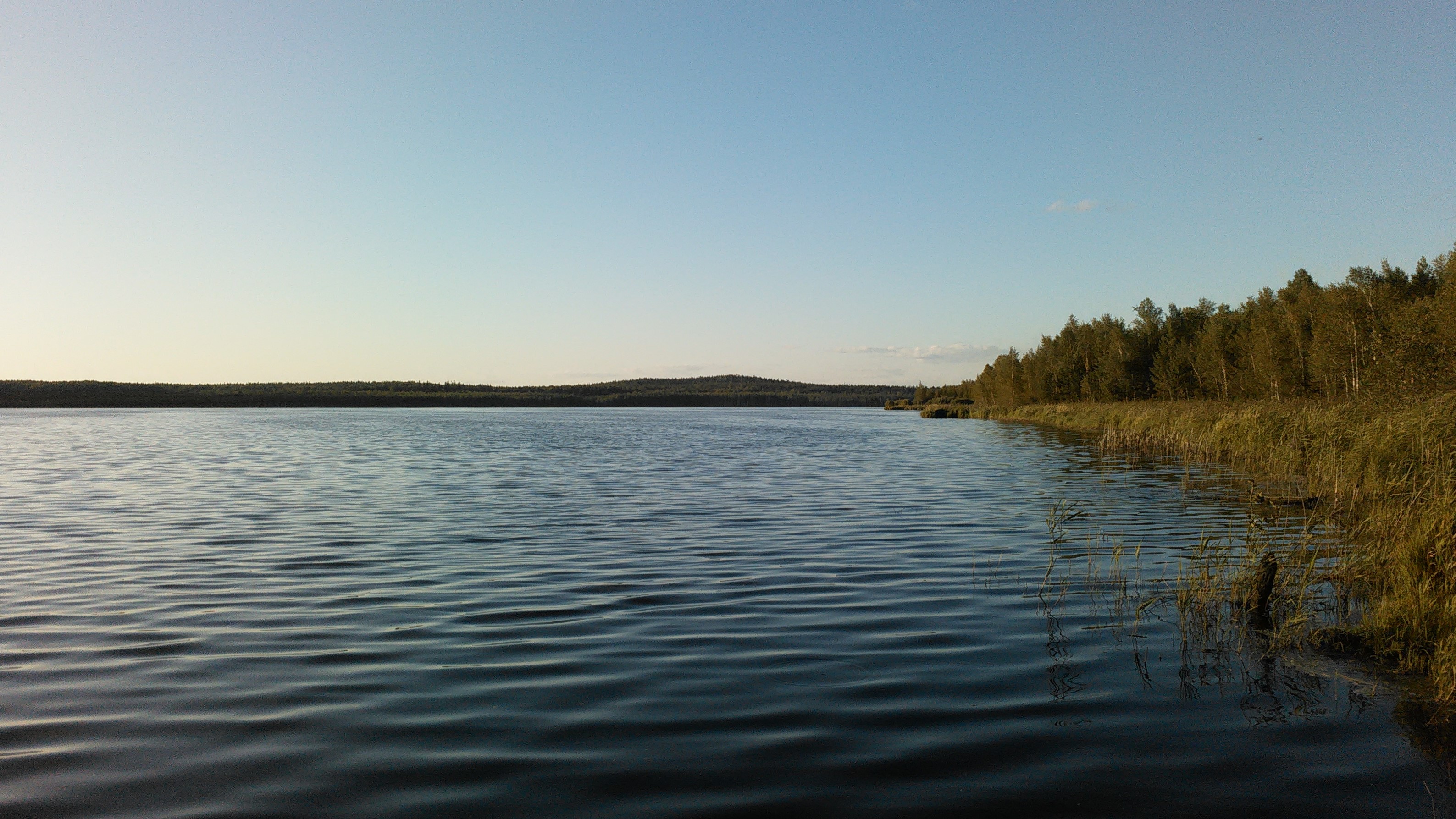 Озеро Половинное Новосибирская область