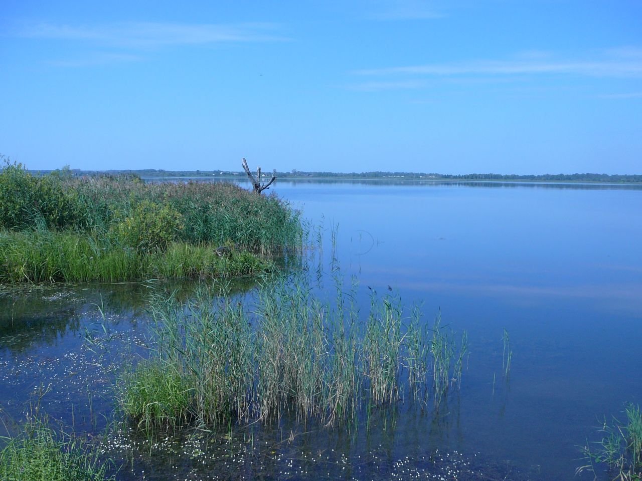 Впало в озеро. Озеро Кибирь в Старотолучеево. Озеро Иткуль Новосибирская. Озеро Иткуль Курганская область рыбалка. Озеро Айдыкуль Челябинская область.