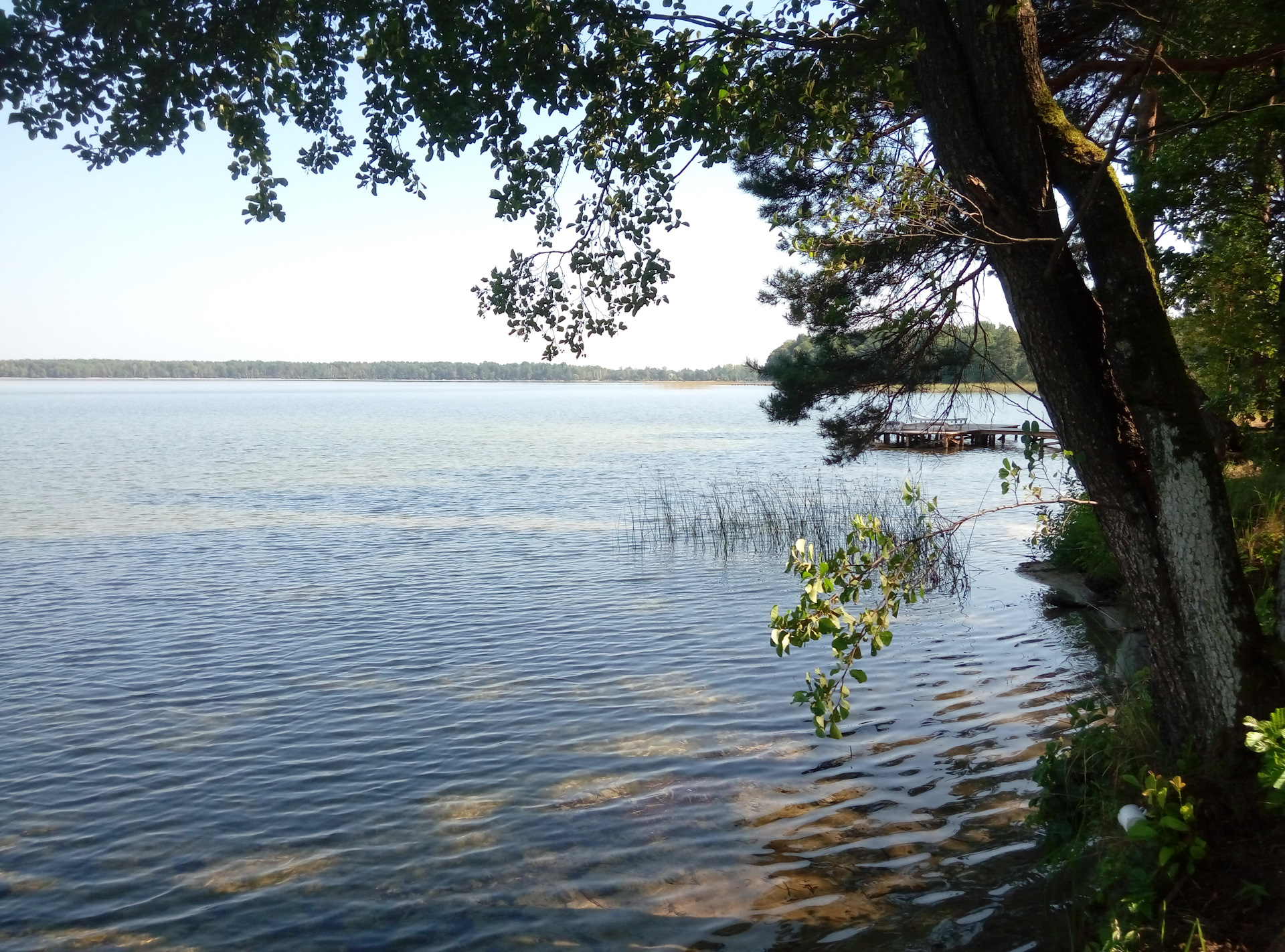 Озеро песочное Тверская область