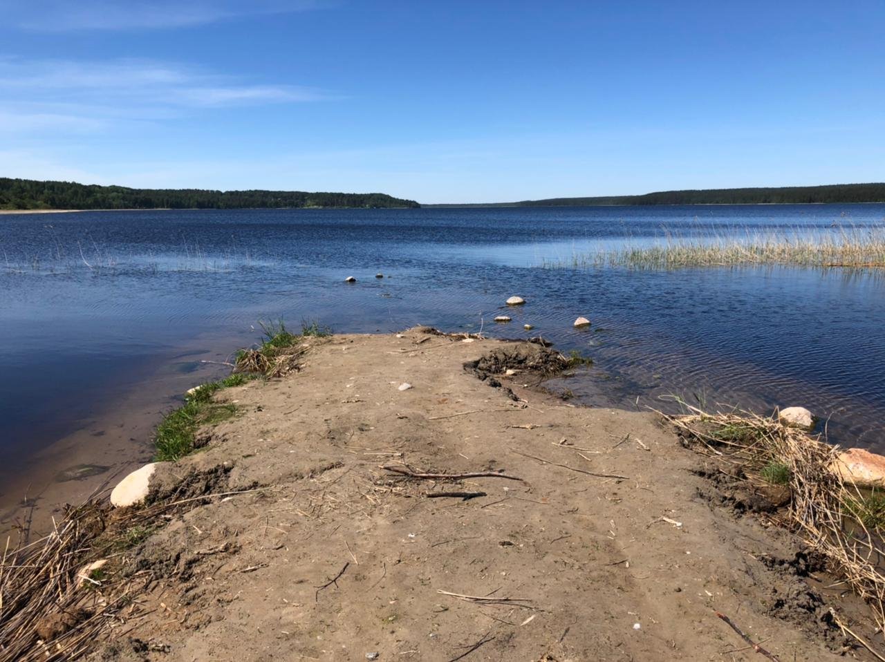 Суходольское озеро Ленинградская область