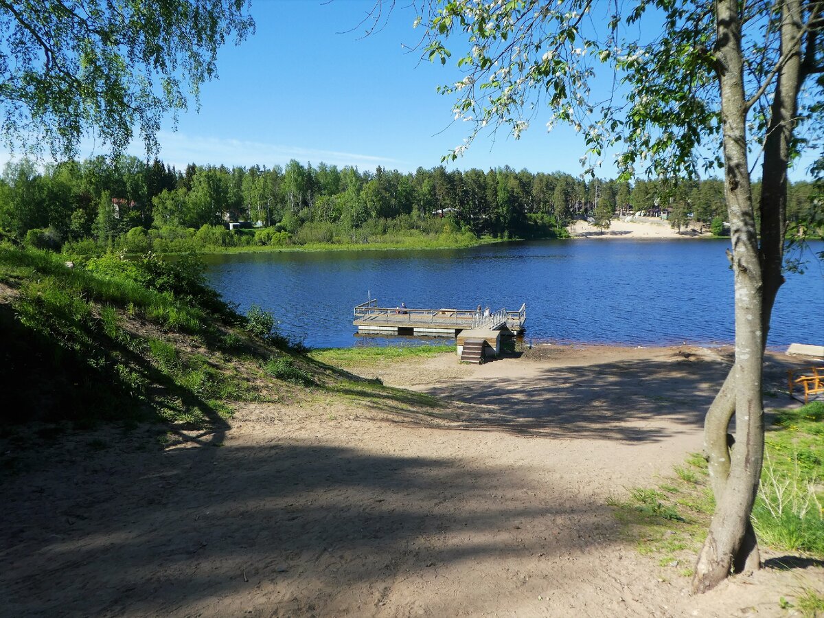 Озеро в Рощино Ленинградская область