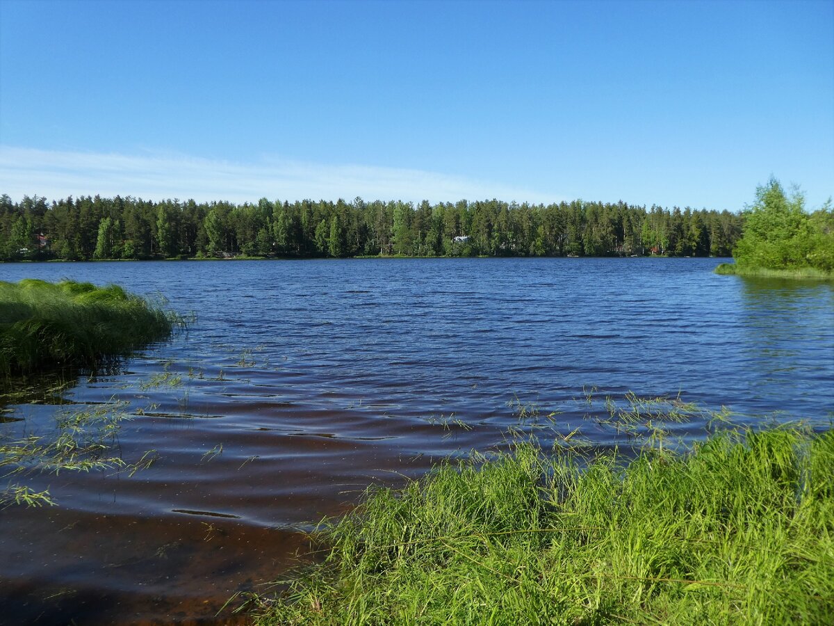 Рощинское озеро ленинградская область
