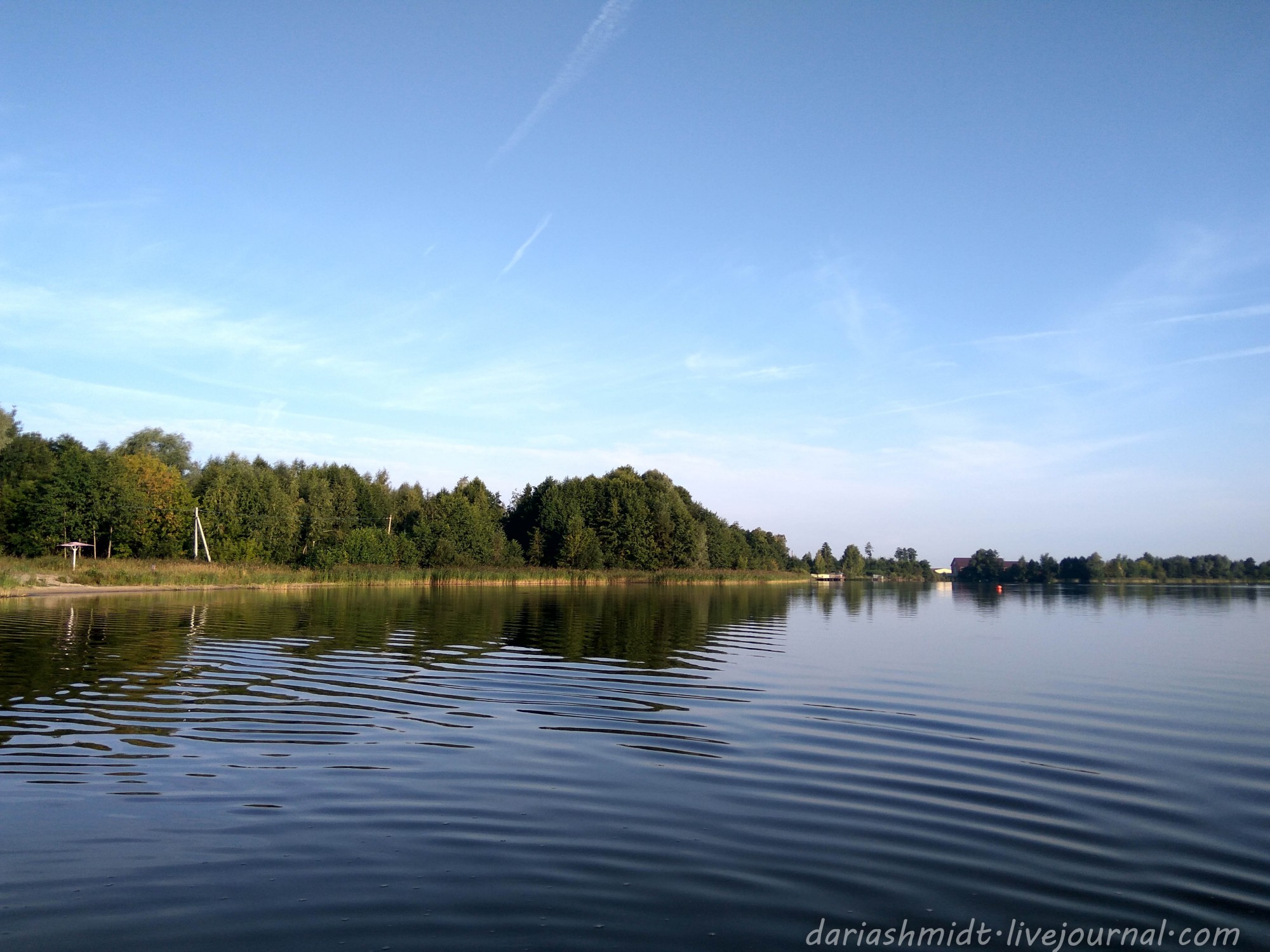 Рощинское озеро ленинградская область. Рощинское озеро. Святое озеро Ржаница. Рощинское озеро пляж. Рощинское озеро фото.