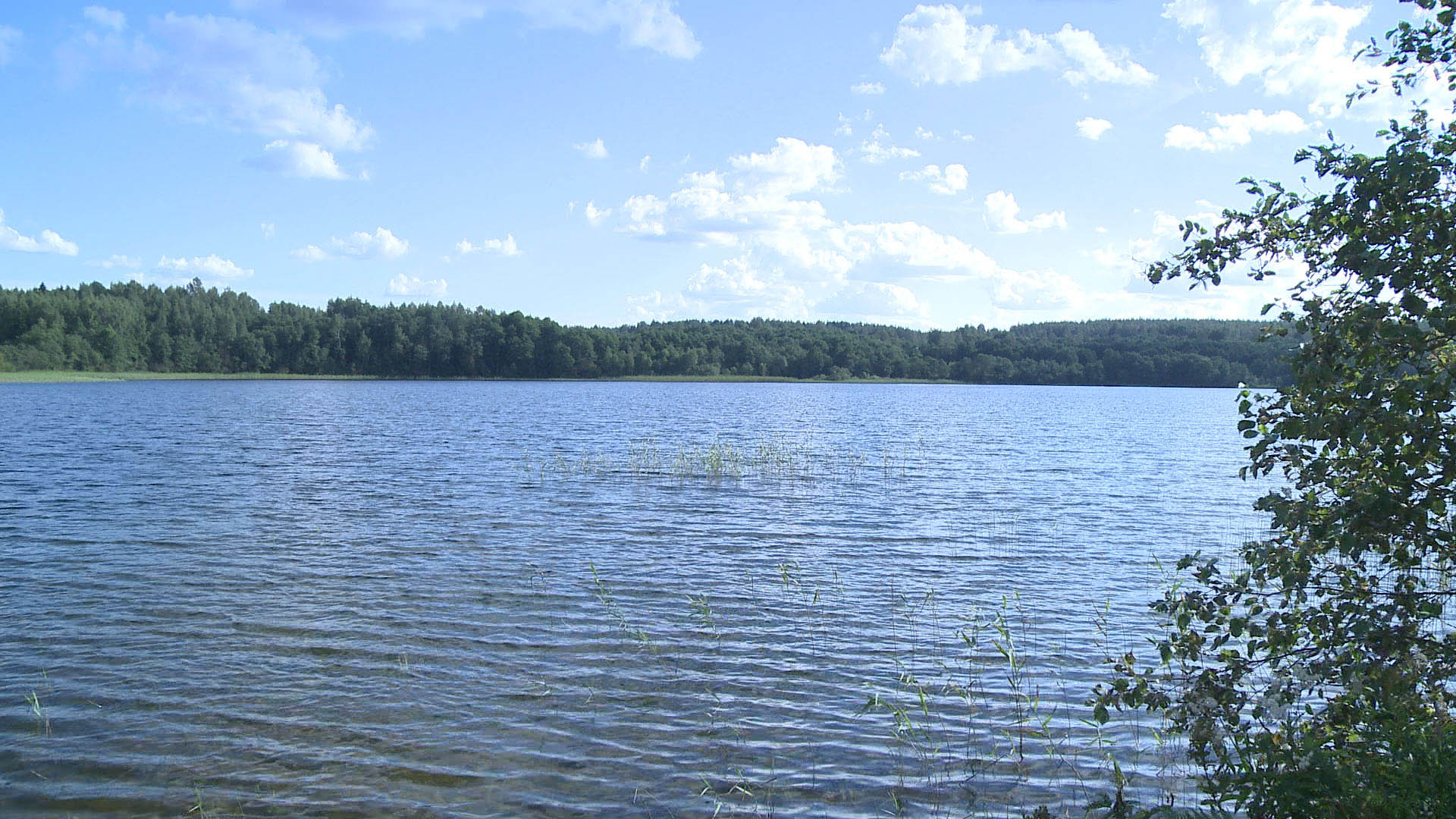 Озеро Щучье Тверская область