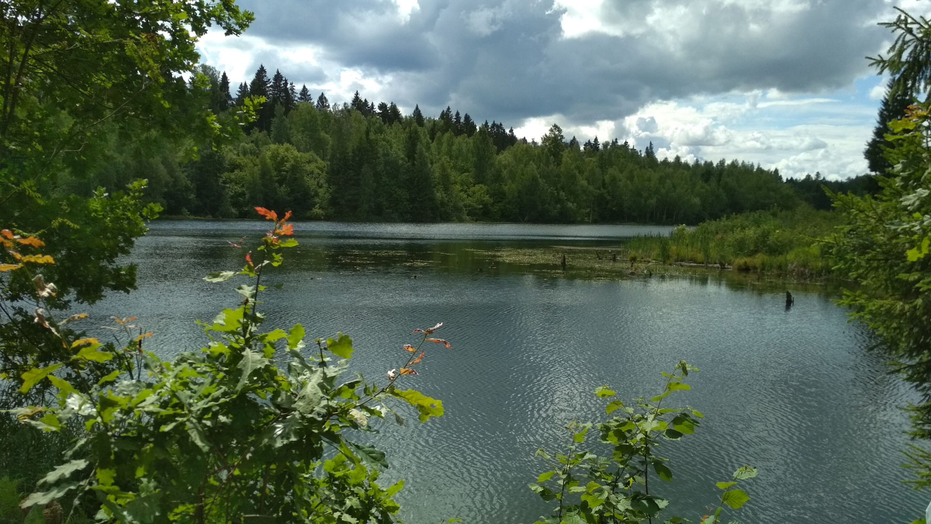 Озеро коряжник в Рузском