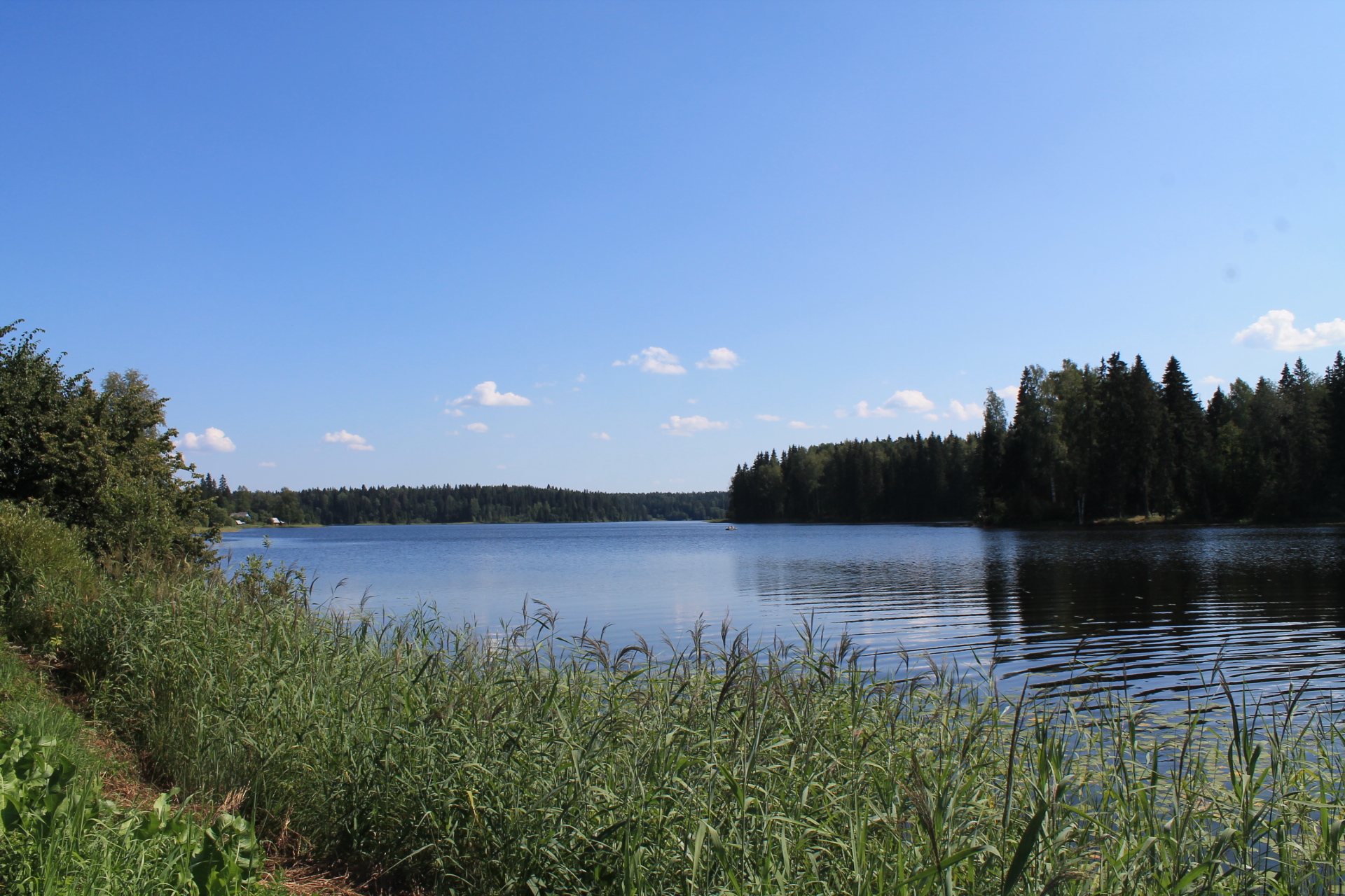 Озеро нерпетское Серпухов
