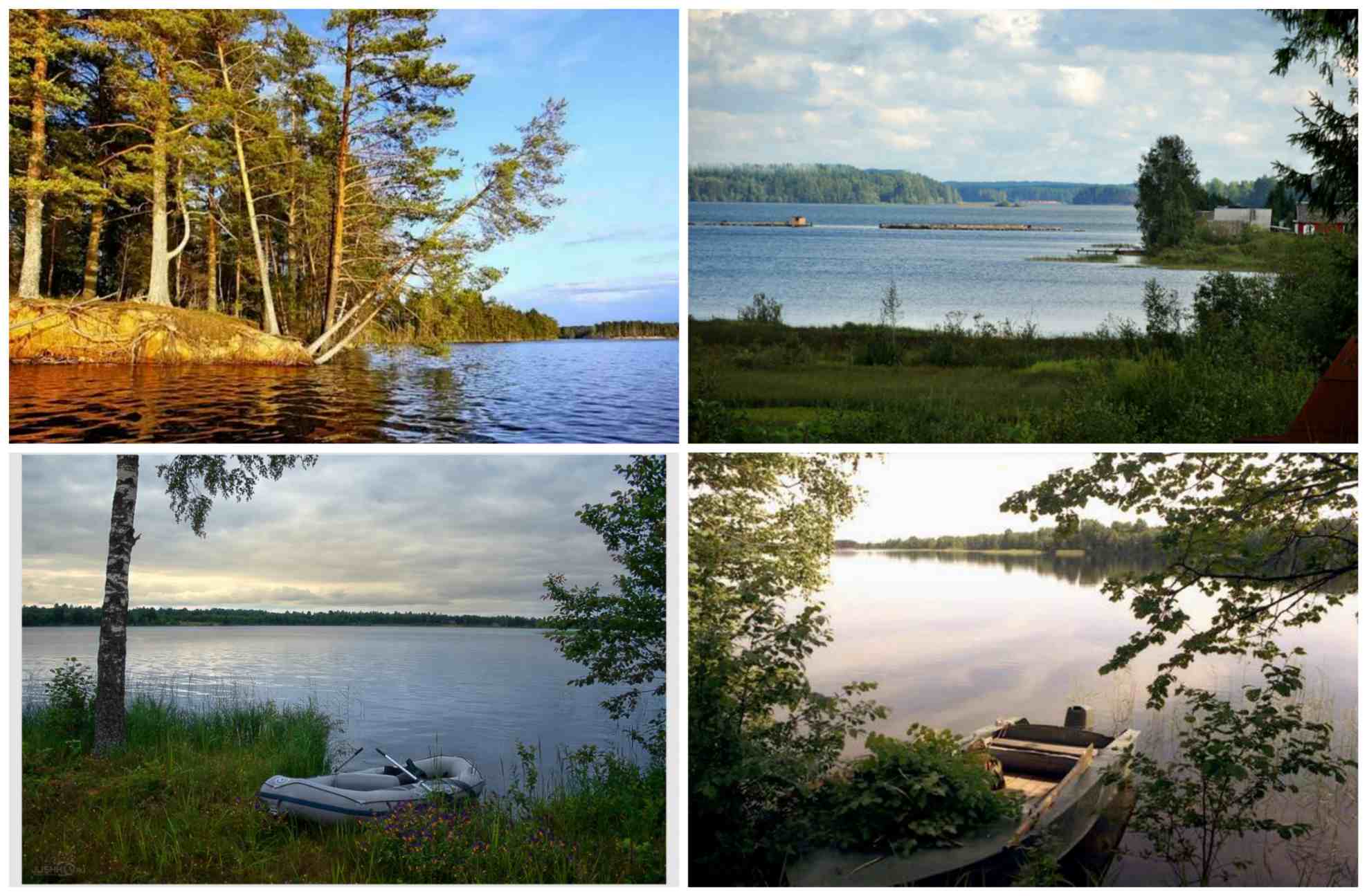 Озеро вельё Новгородская область