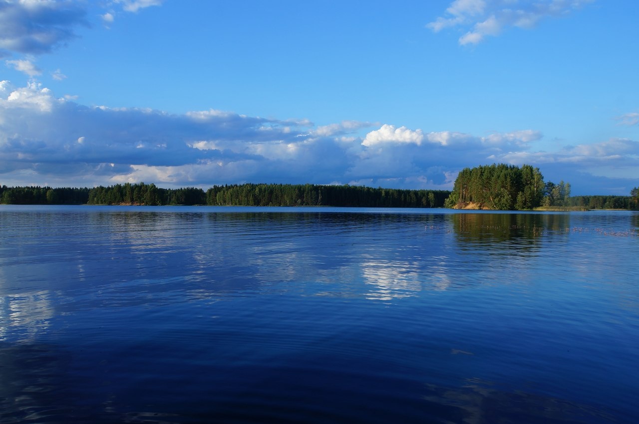 Озеро Мышево Новгородская