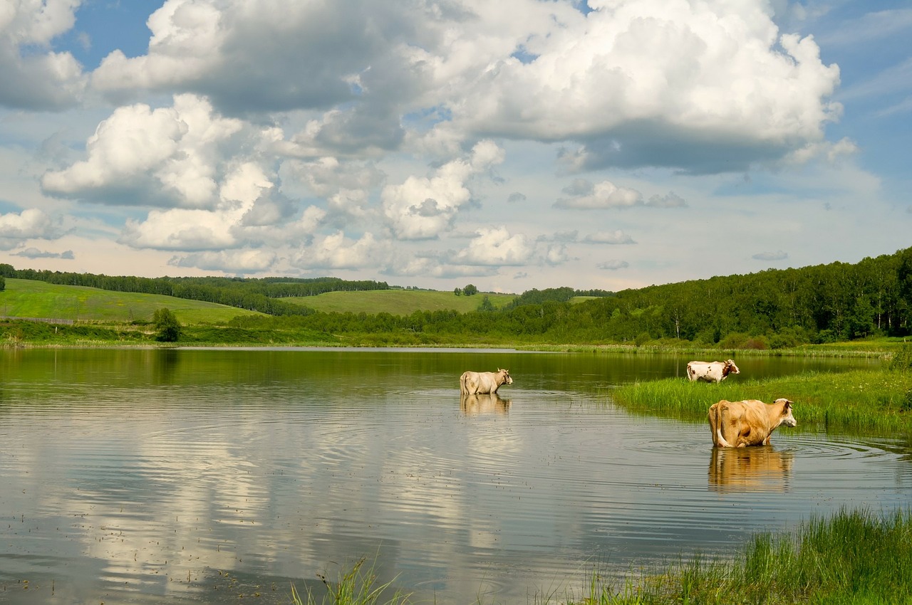 коровье озеро архангельск