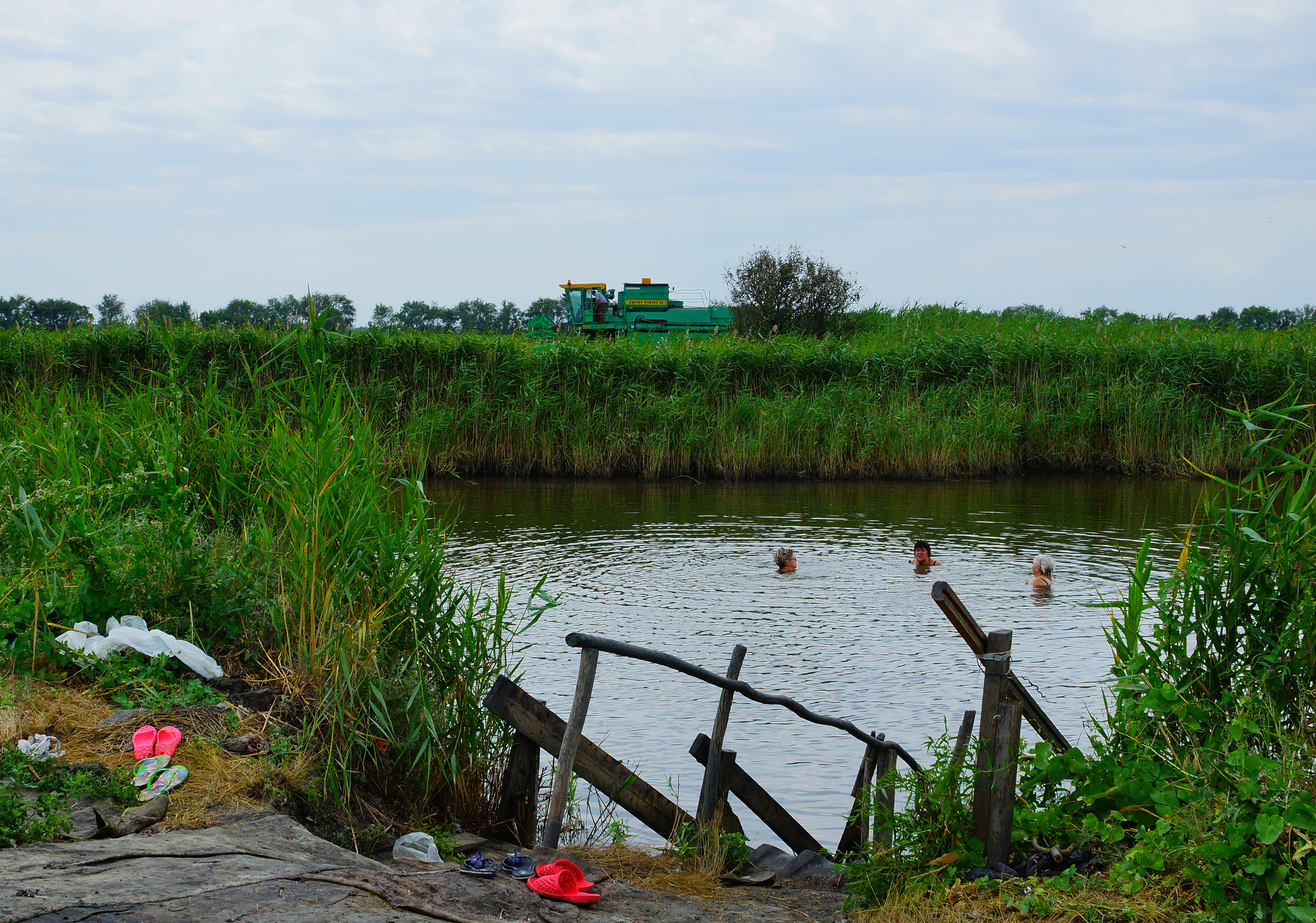 Озеро Пеленкино в Ростовской