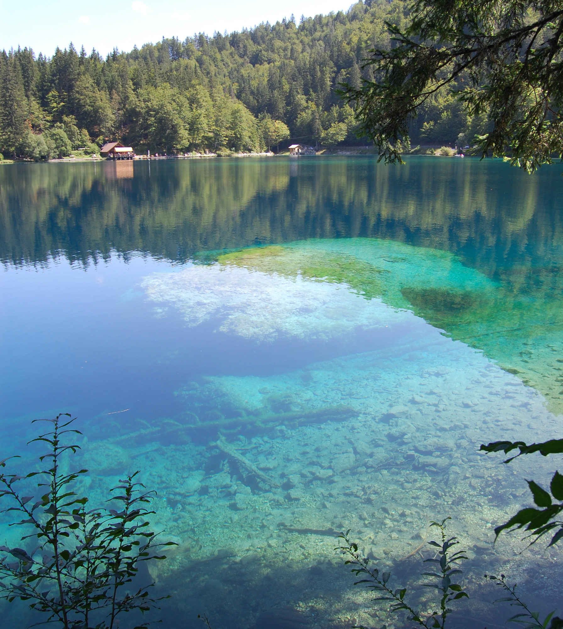 прозрачная вода в озере