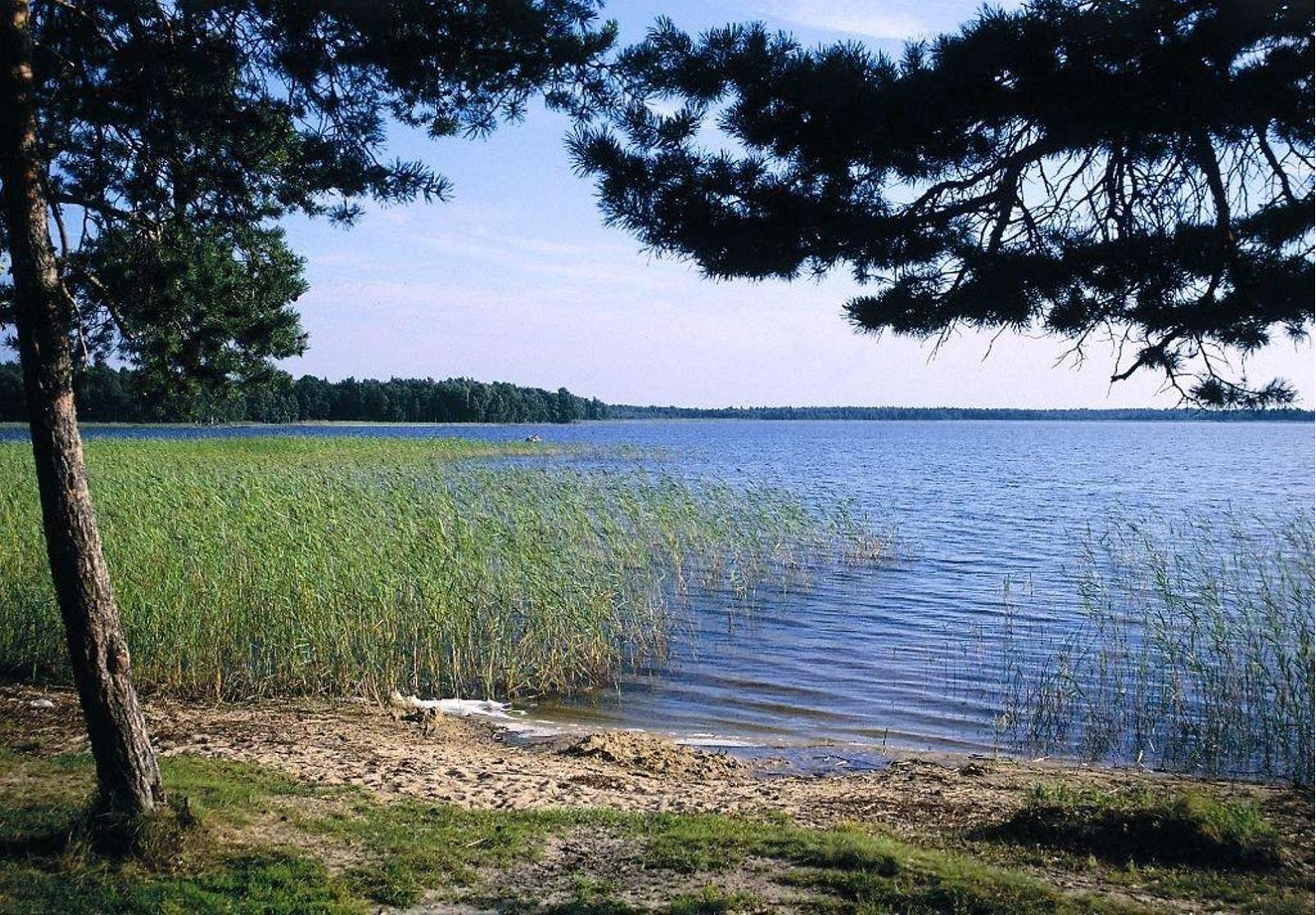 Озеро Лосвидо Витебская область Беларусь