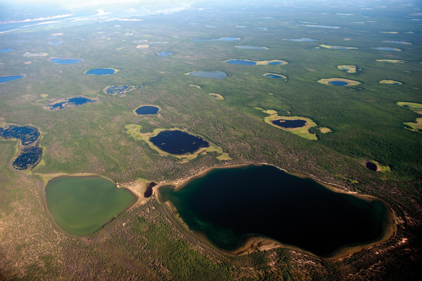 Озеро Васюганские болота