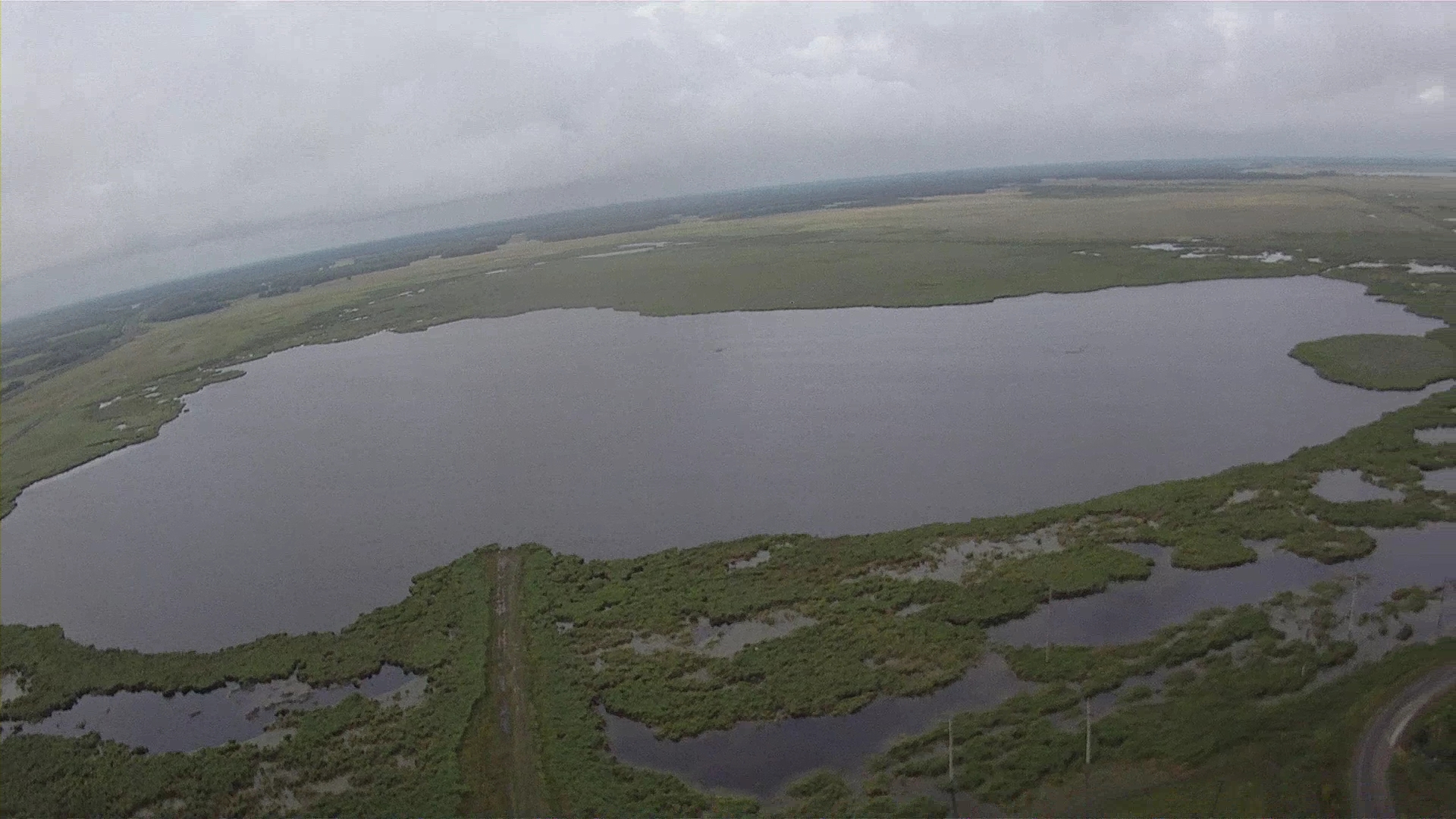 Крупные озера западной сибири. Озеро Чаны. Амелькина грива озеро Чаны. Озеро Чаны Новосибирская область. Соленое озеро Чаны.