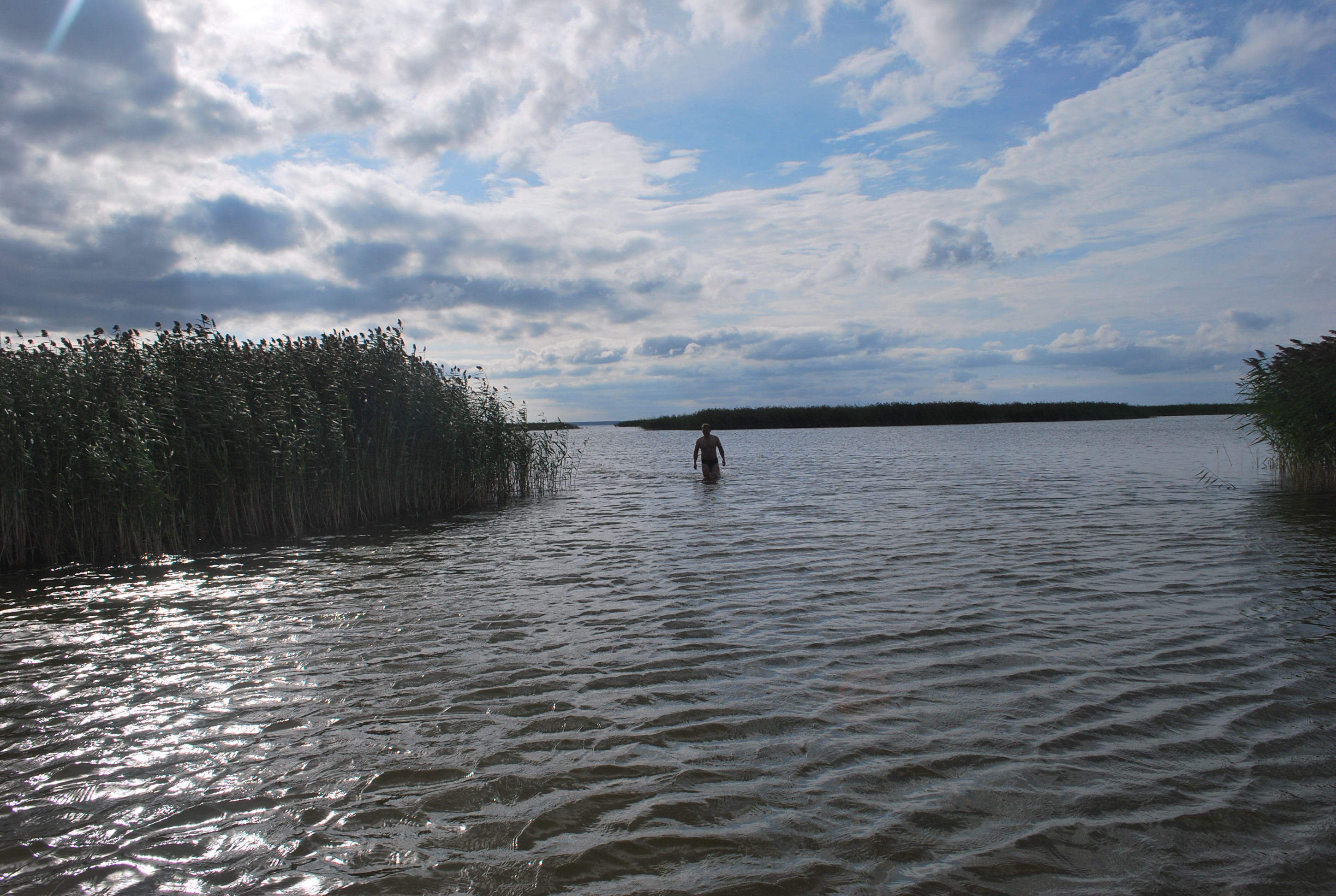 Озеро салтаим омская. Озеро Камышное Омская область. Озеро ИК Крутинка. Озеро Салтаим Омская область рыбалка.