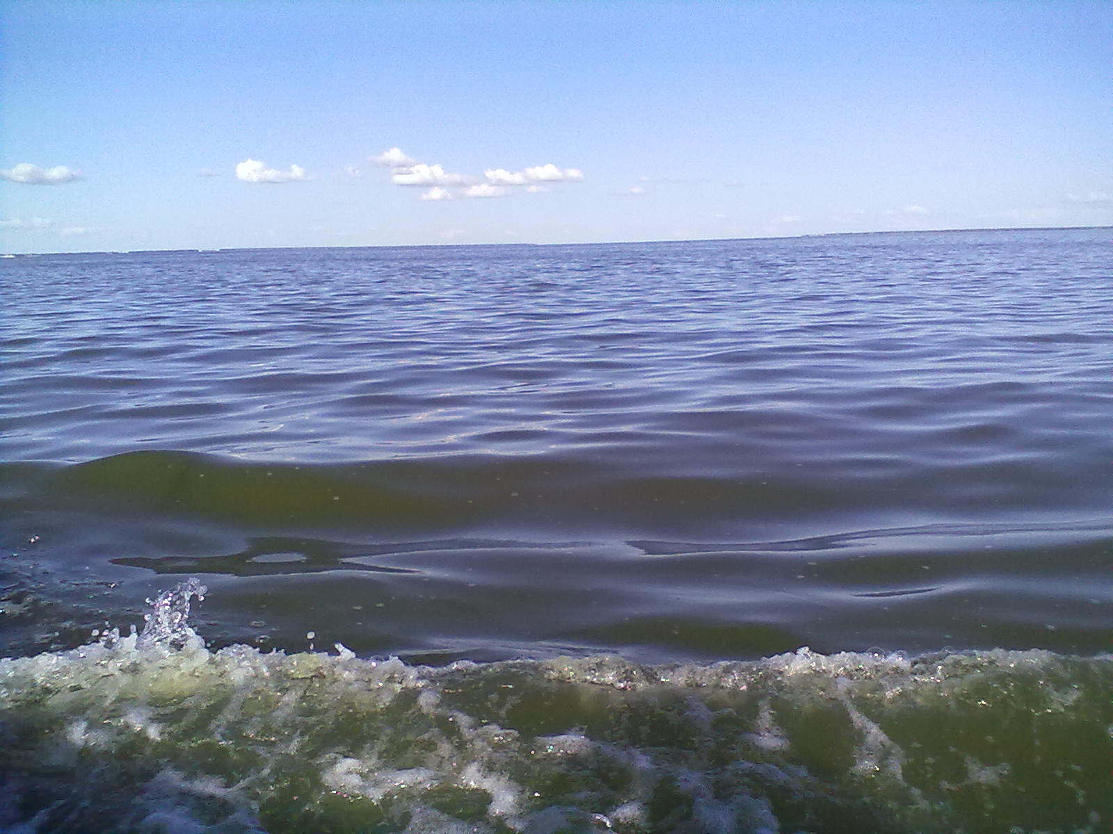 Озеро салтаим омская. Озеро Салтаим Крутинский район. Озеро ИК Крутинка. Озеро ИК Омская область.