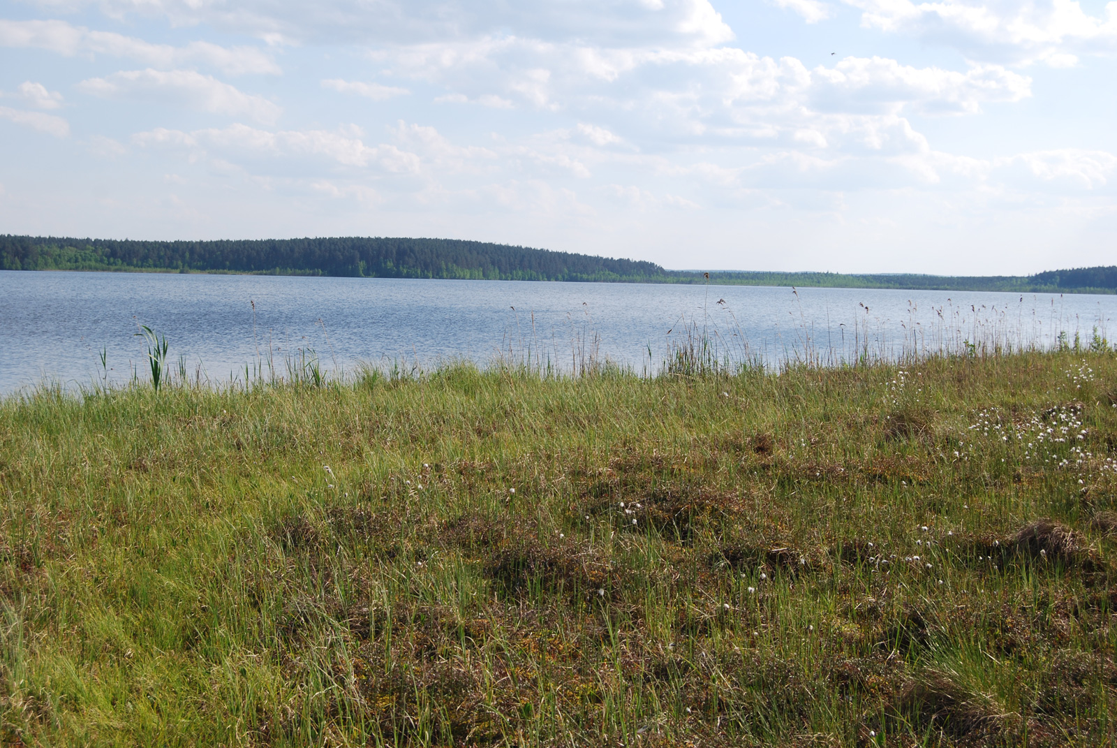 озеро чусовское екатеринбург официальный сайт