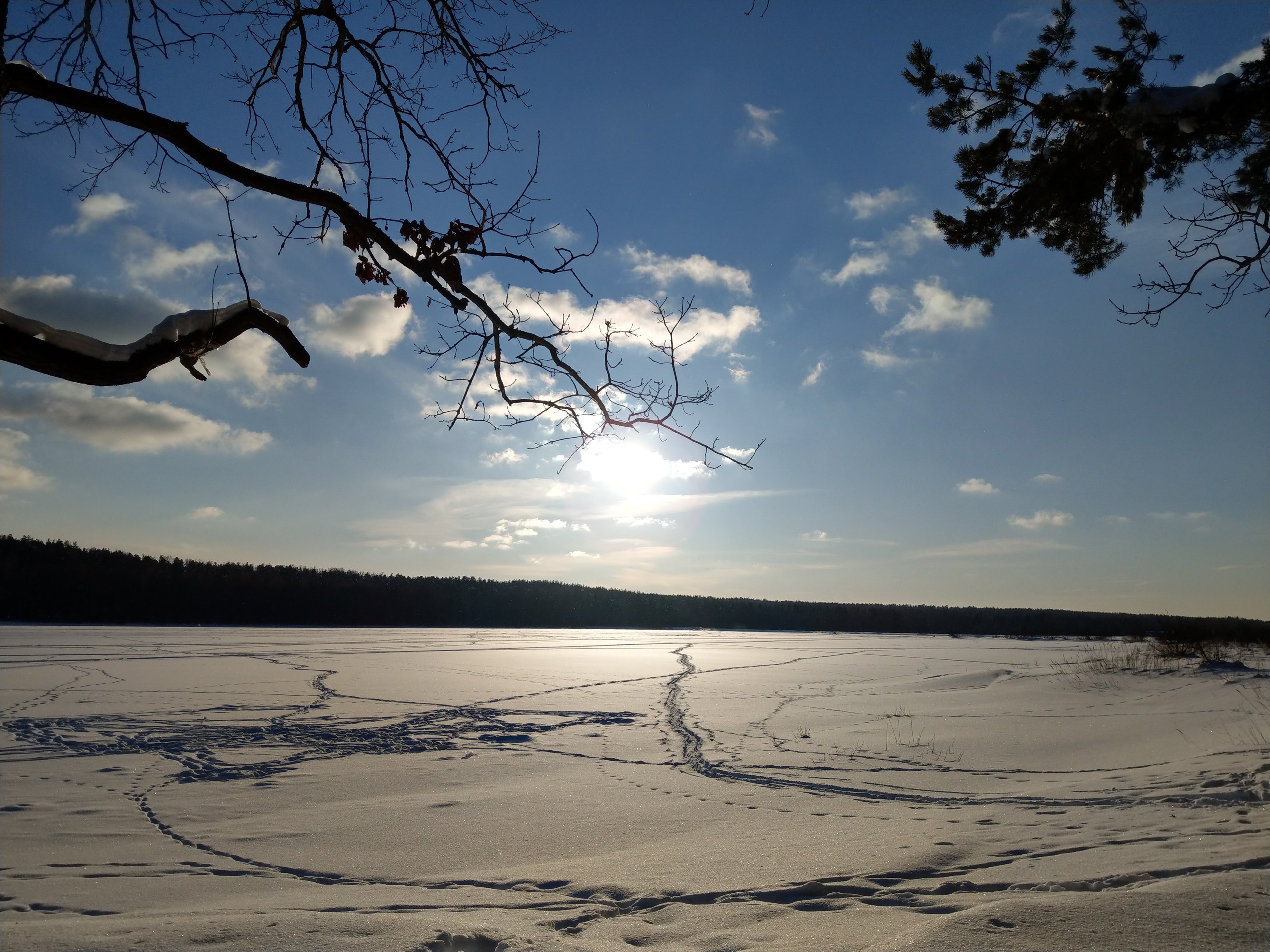 Меревское озеро зима