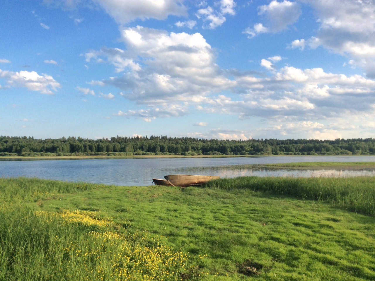Озеро Ильжовское Лужский район