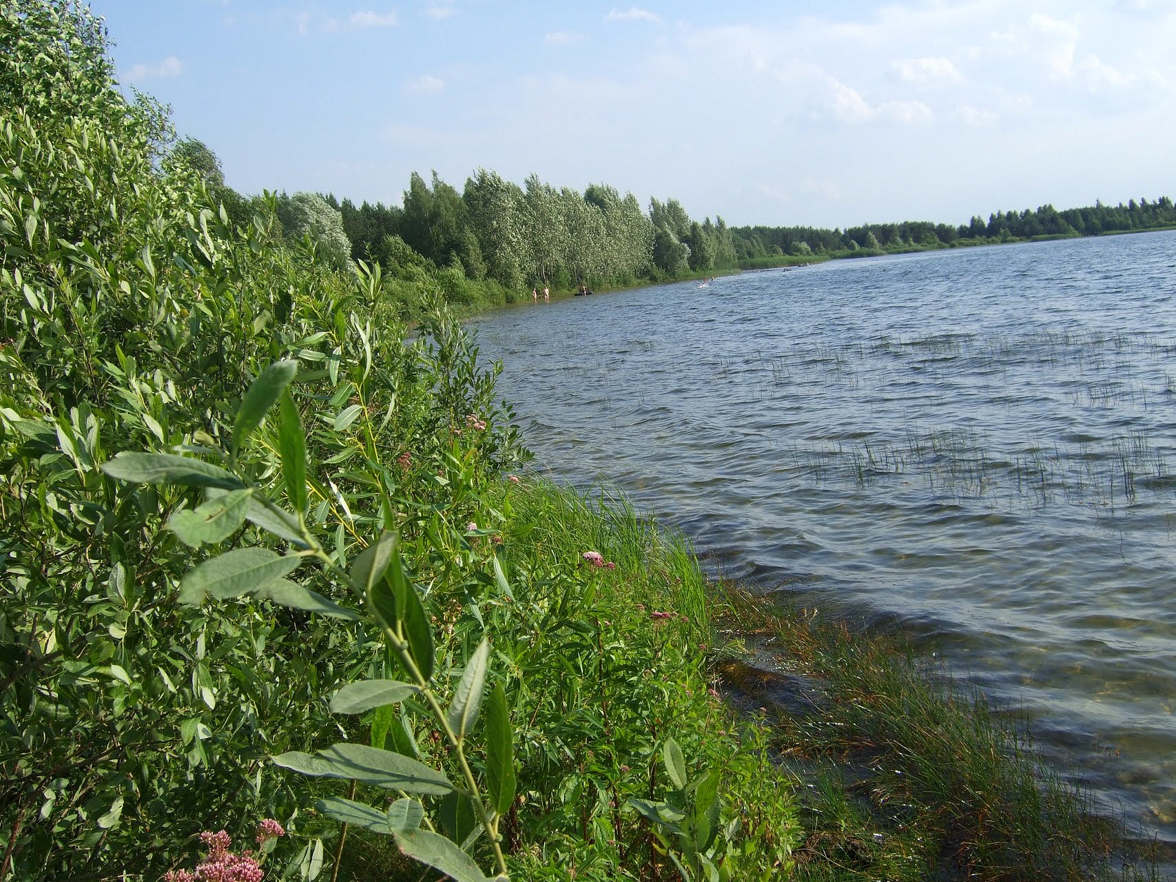 озеро мыльное раменский район