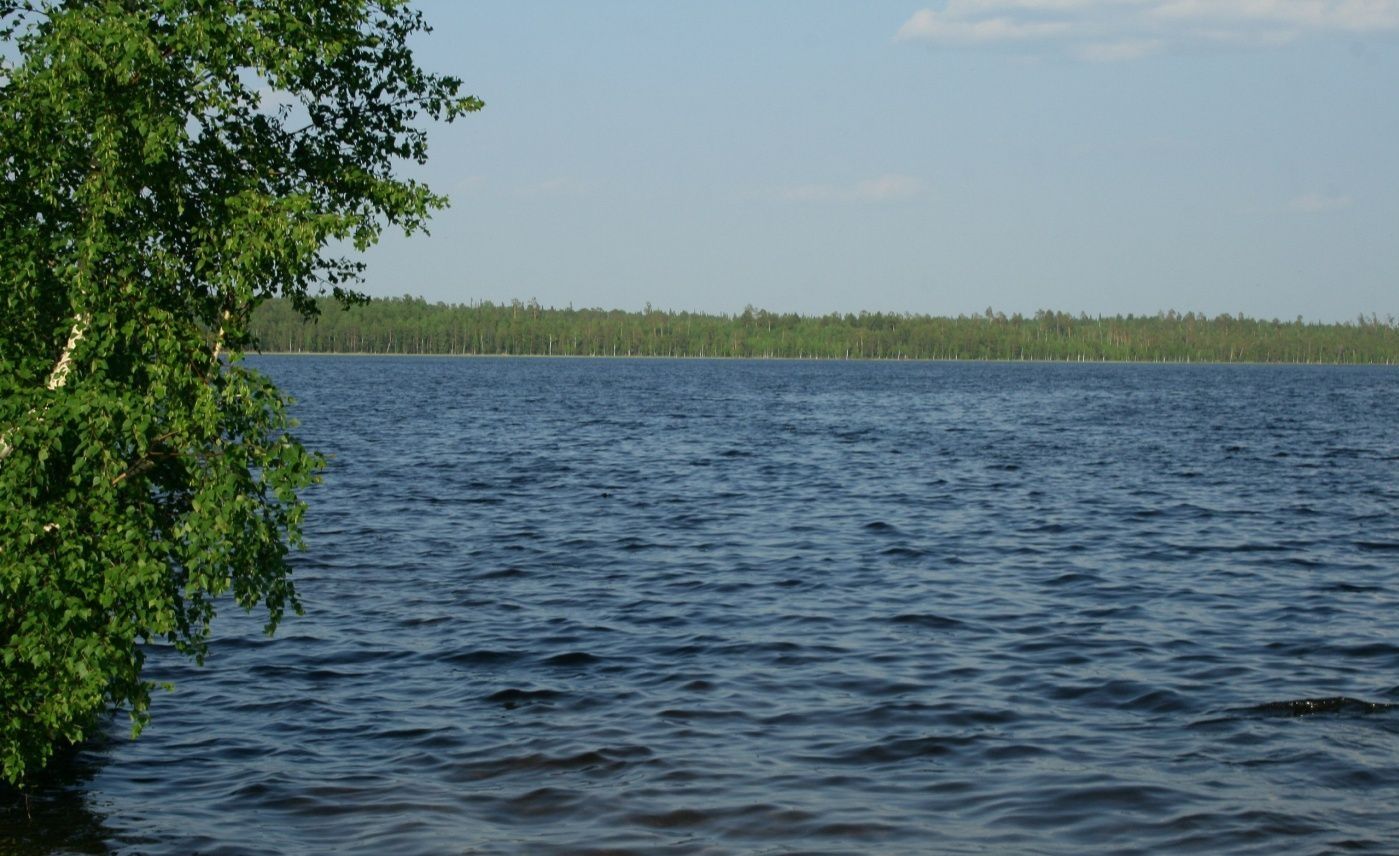 Озеро Чертаны Томская область