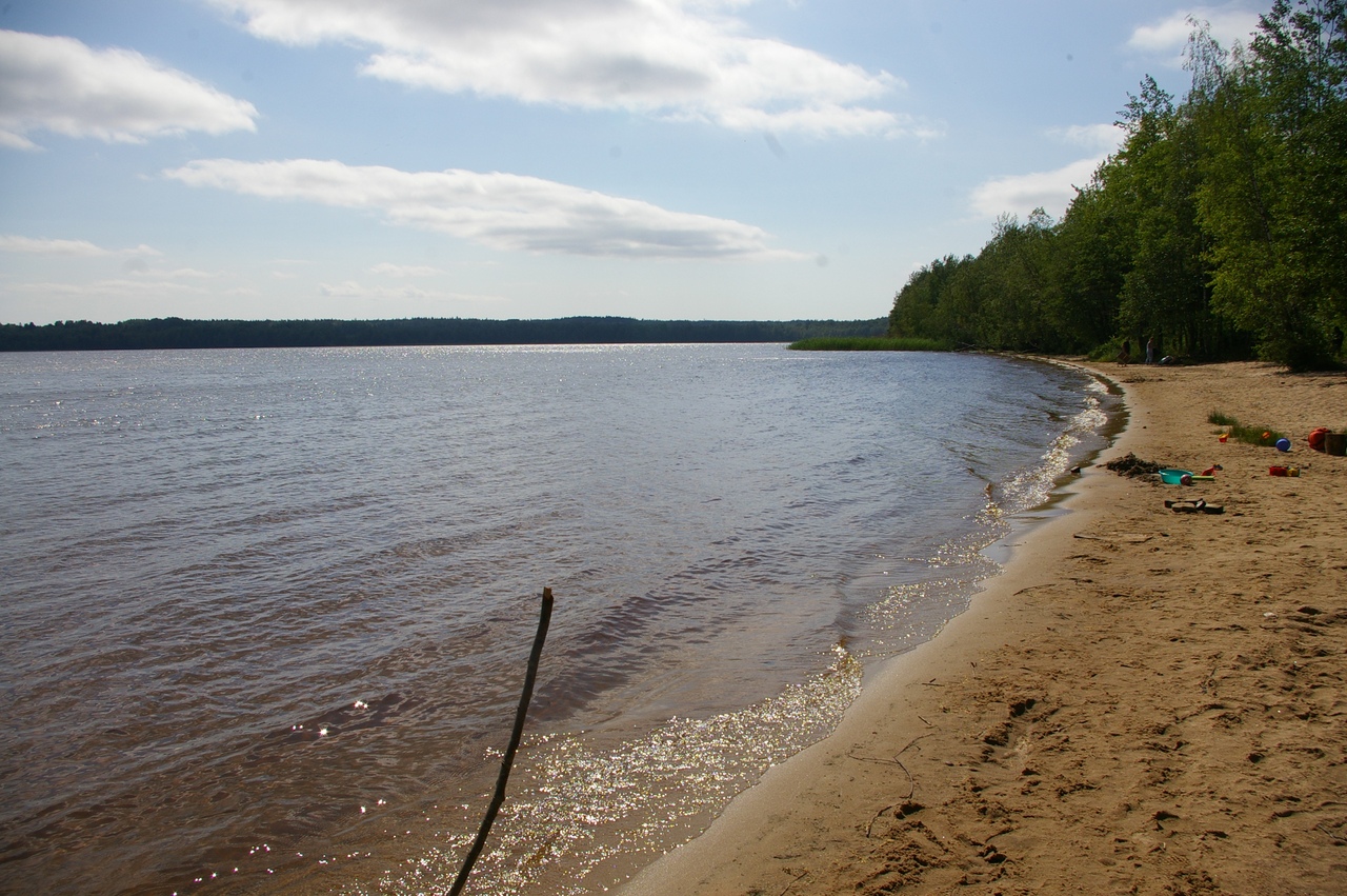 Гладышевское озеро Ленинградская область пляж