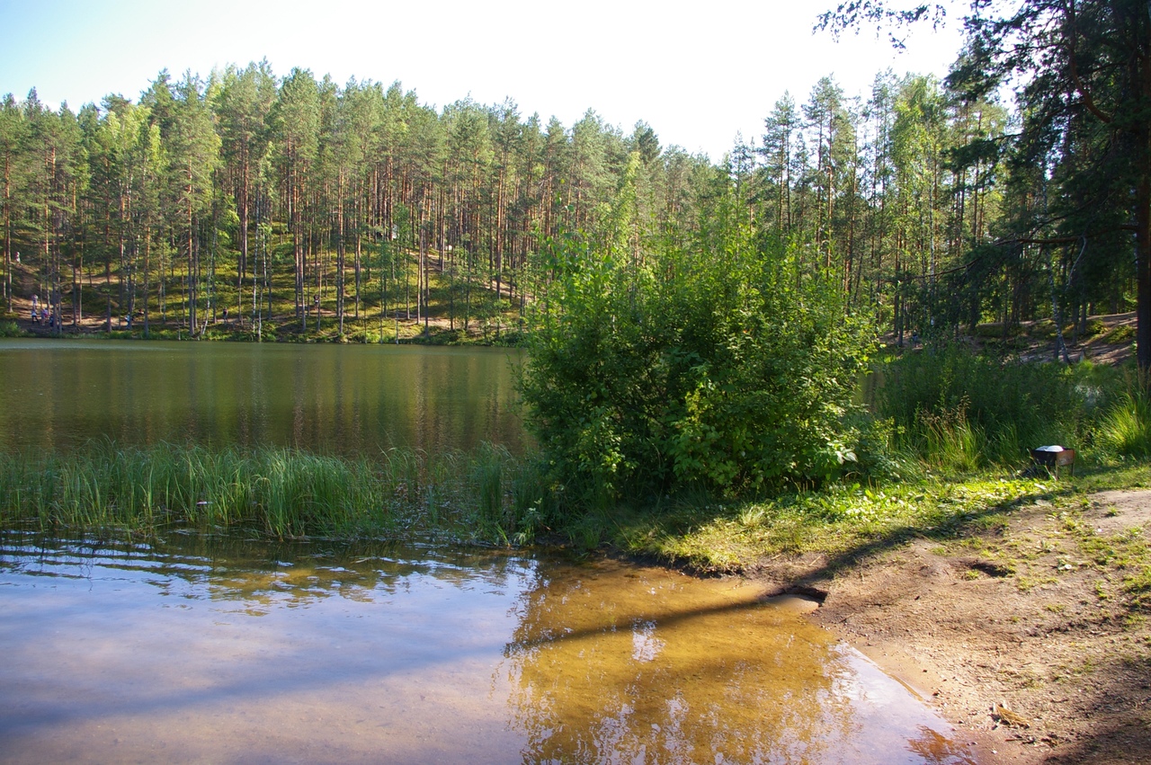 озеро гладышевское