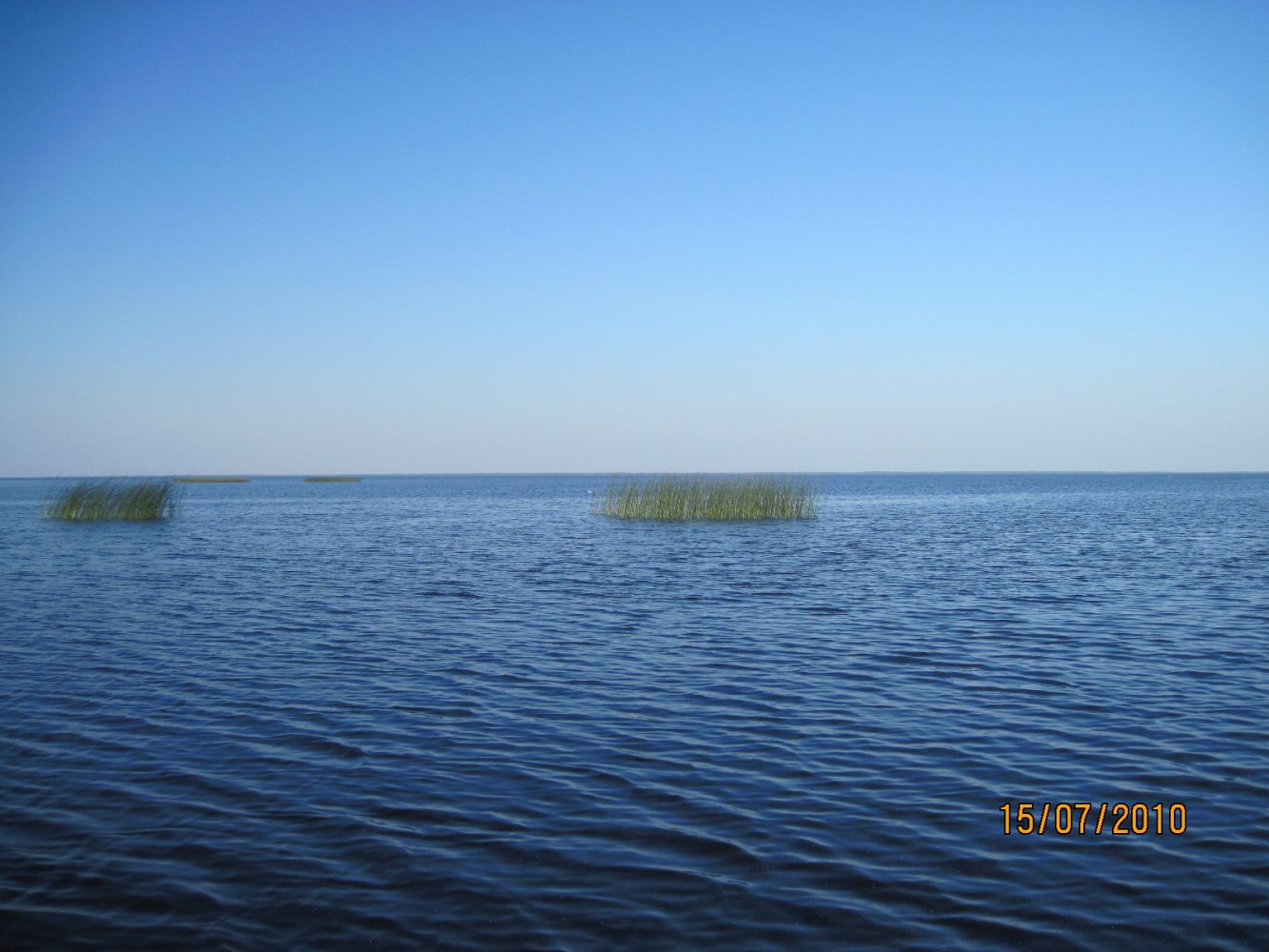 Озеро Лача Вологодская область