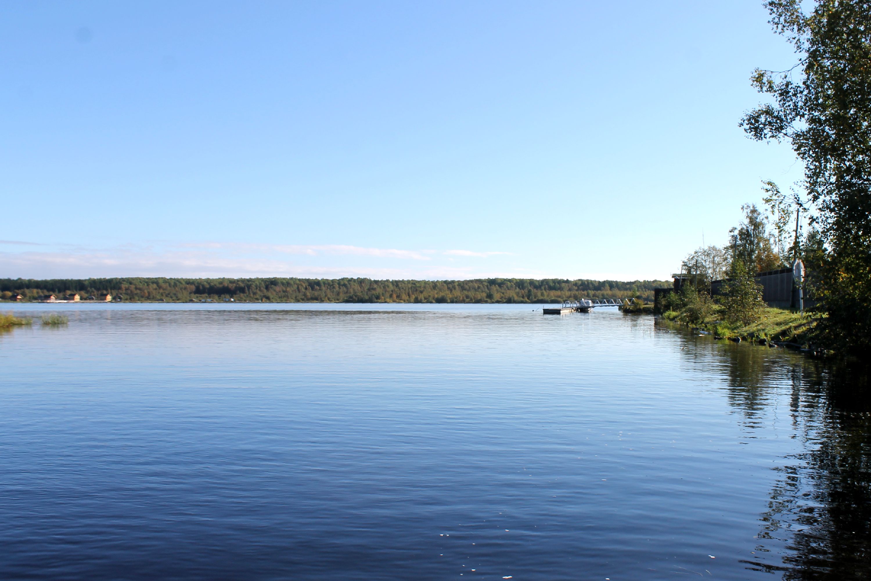 Река свирь озеро. Озеро Свирь. Река Свирь. Онежское озеро Свирь. Озеро Свирь Беларусь.
