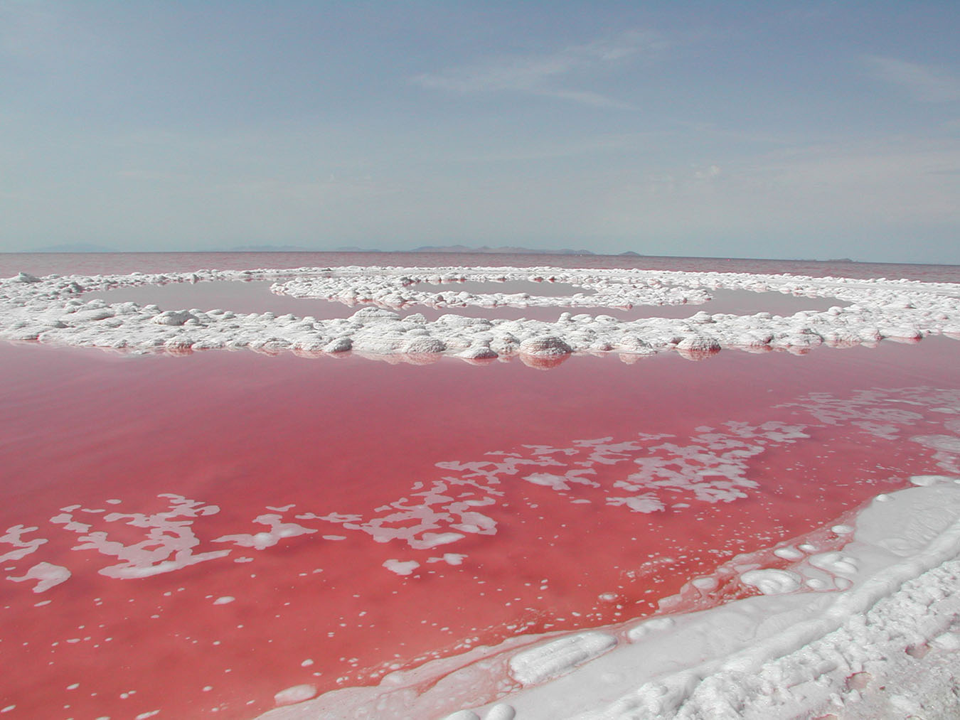 Соленые озера европы. Розовое озеро Эльтон. Соленое озеро Эльтон. Солёное озеро в Волгоградской области Эльтон. Озеро Эльтон соль.