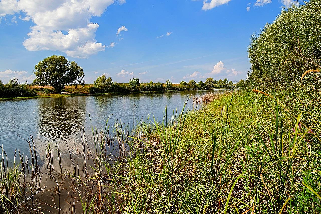 Озеро Богородское Казань